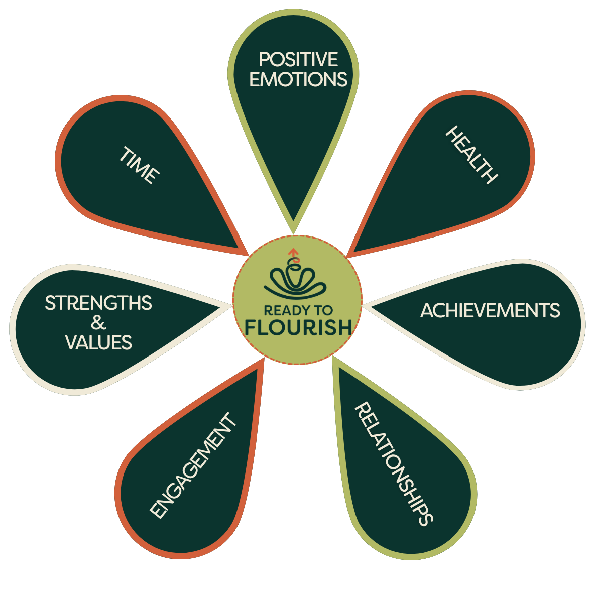 RTF product image.png