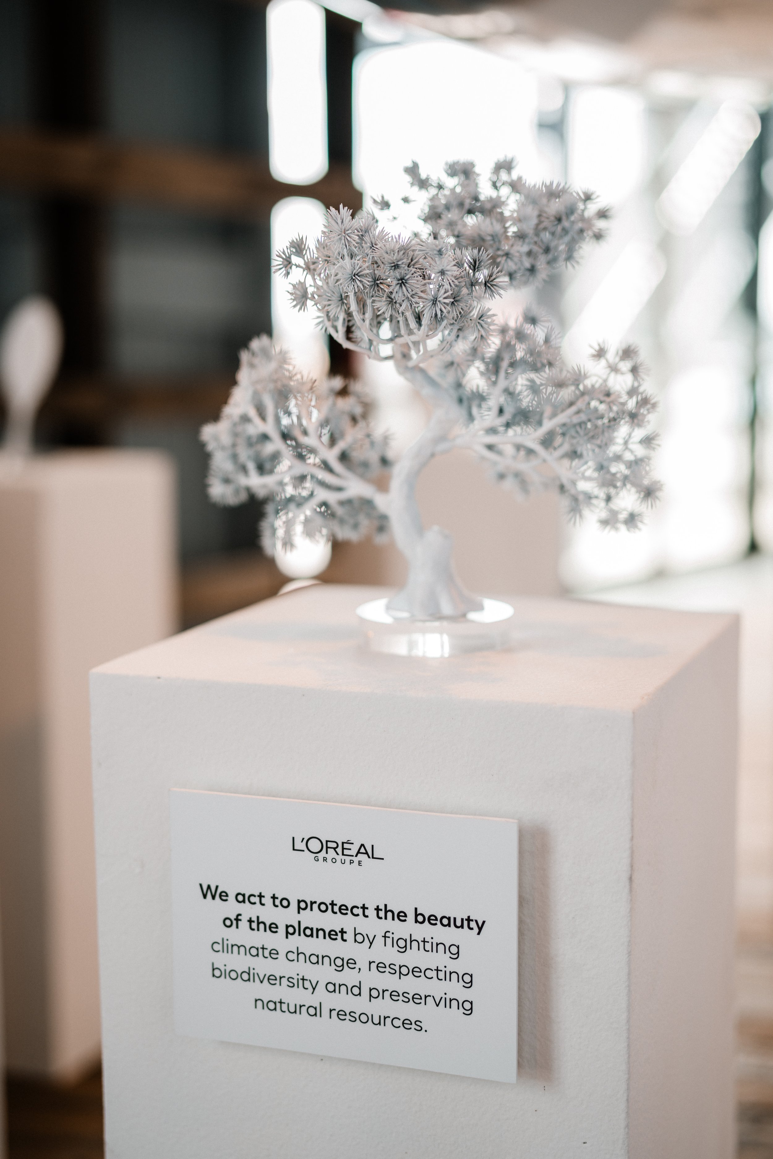 L'OREAL-27TH_NOV_00172 copy.jpg