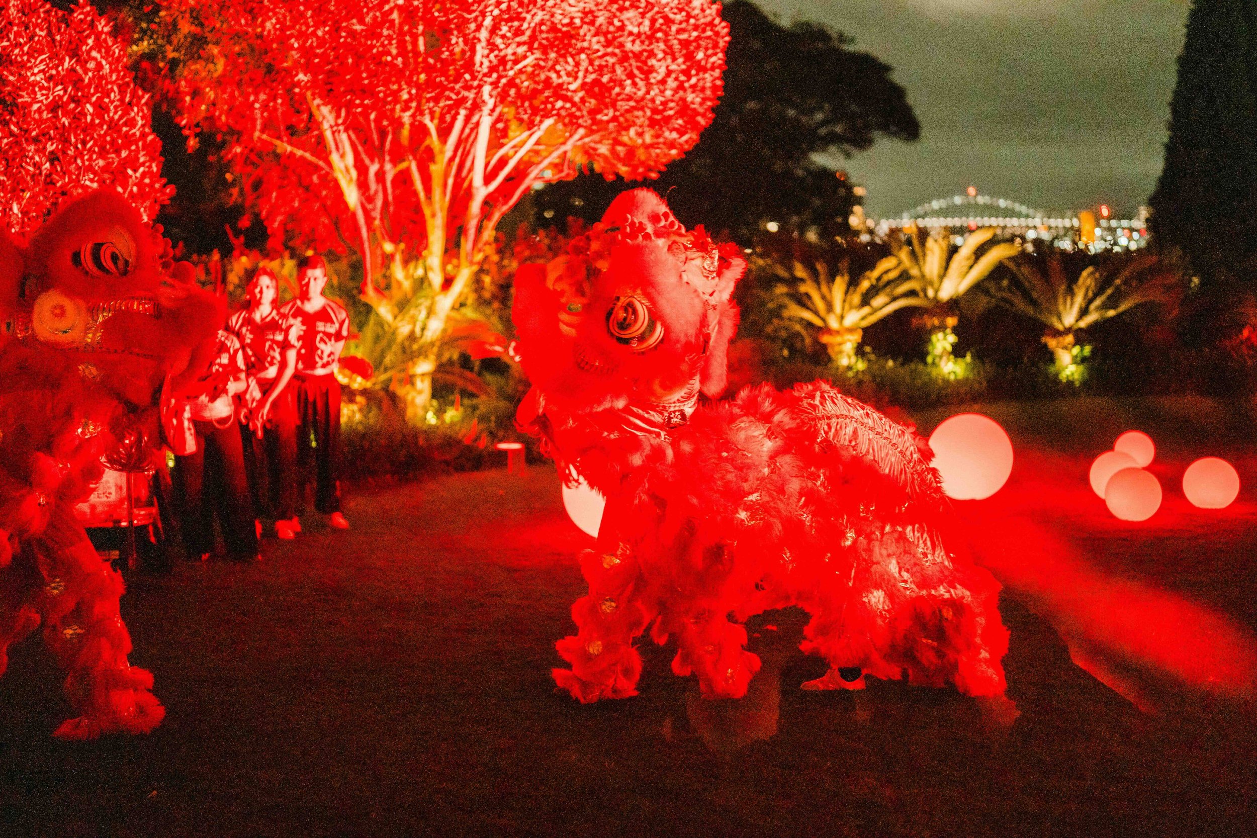 06 LIVE PERFORMANCE.jpeg