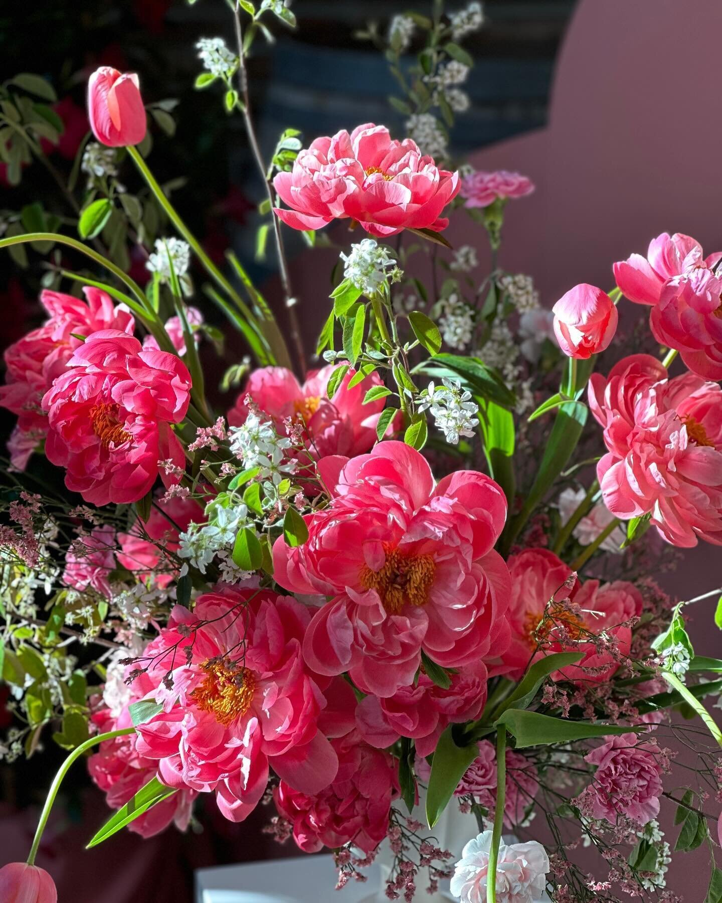 Peonies ❤️&zwj;🔥 a show stopper pedestal arrangement! These coral charms were beautifully peachy at the end of the wedding 🫶🏼 

Blooms that change colours are just so precious. Did you know that there are flowers like that? Butterfly ranunculus is