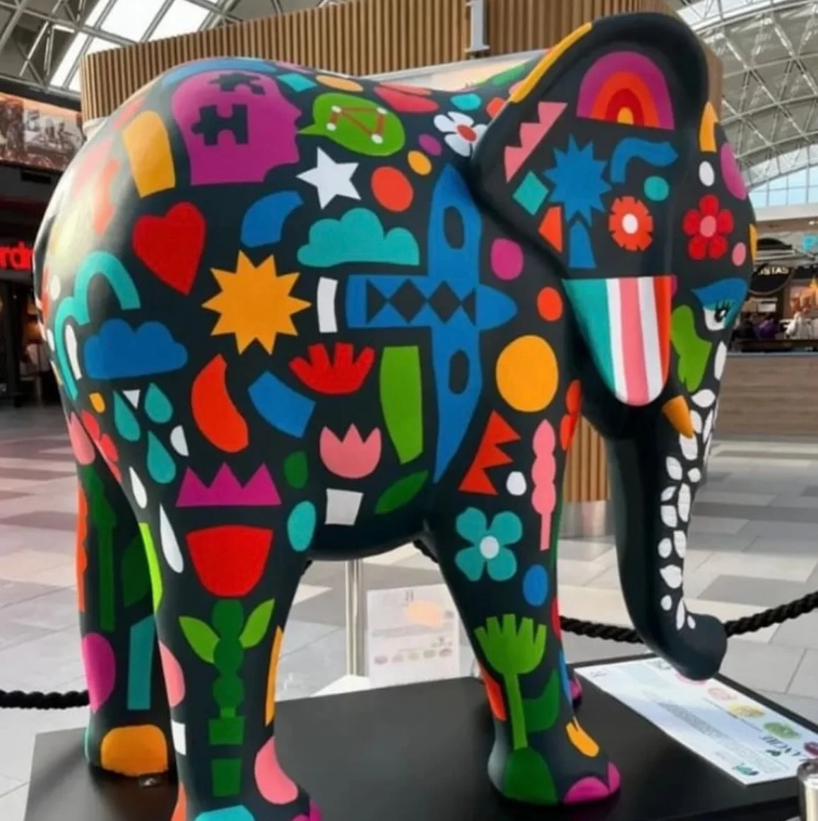 A throwback to this time last year when I painted this… Blanche now resides in the Blanchardstown Centre. She is part of The Elephant in the Room movement. Founded by Brent Pope to help people talk about their mental health…. the elepha