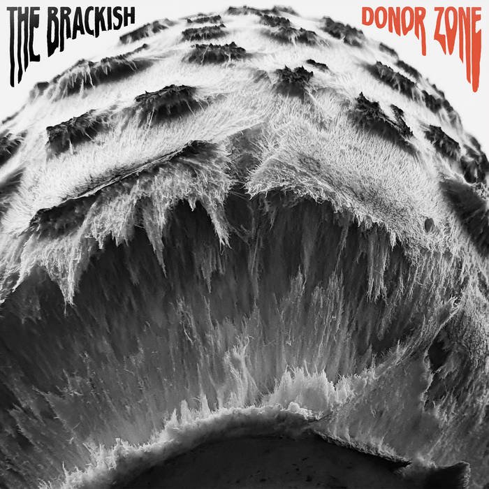 Donor Zone Vinyl
