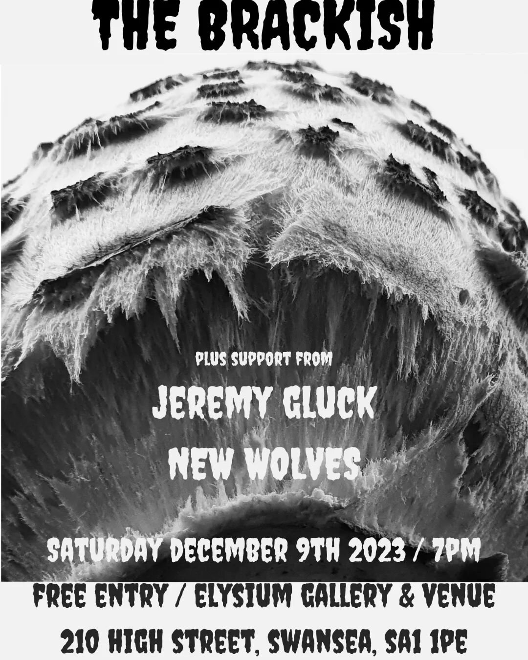 Looking forward to our first gig in Swansea with Jeremy Gluck and @new.wolves !