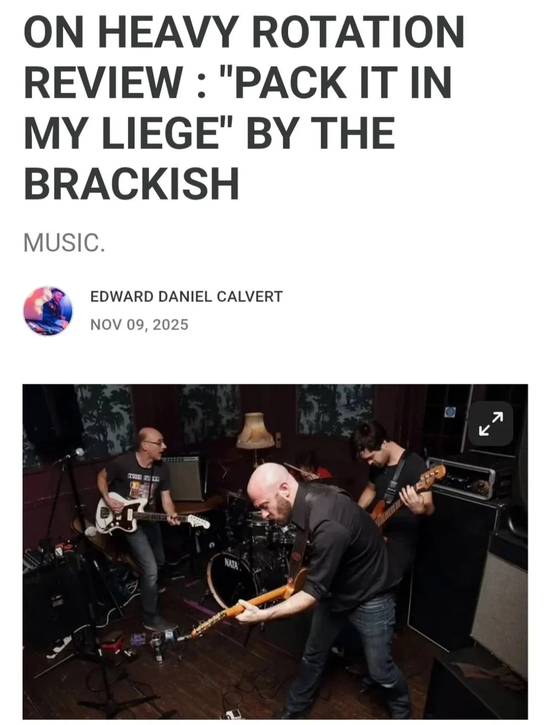 Here's @poindexter_maximus_666 's brilliant review of the new @thebrackishmusic album in full - Thanks Ed!