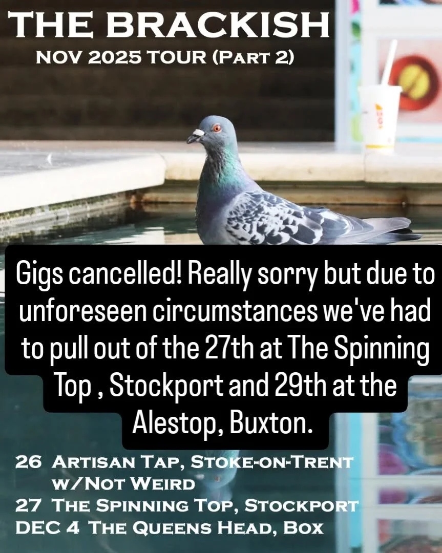 Nov 26th at The Artisan Tap with Not Weird and Dec 4th at Queen's Head , Box with @reubens_daughters still on!