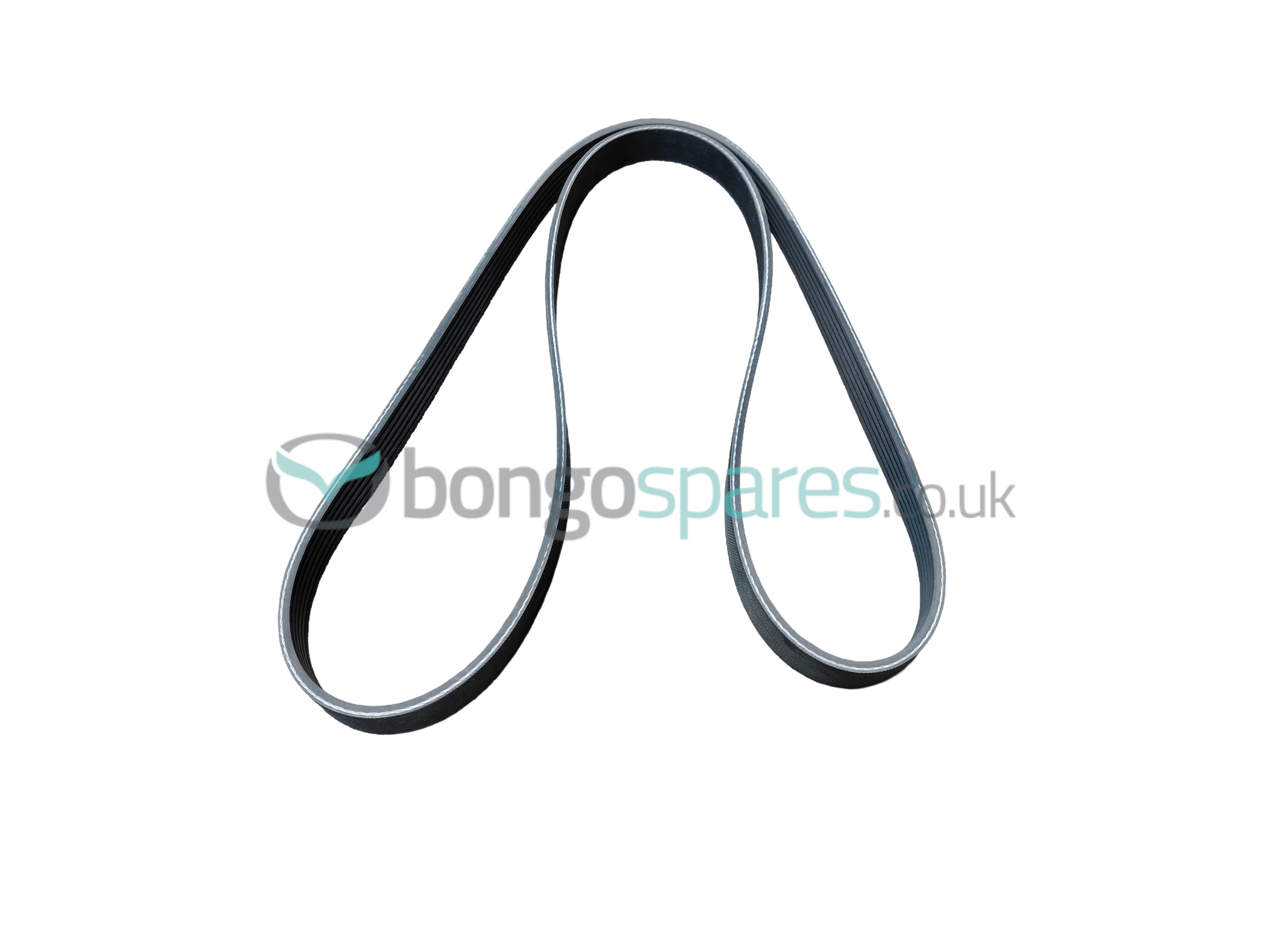 V6 Alternator Belt - New
