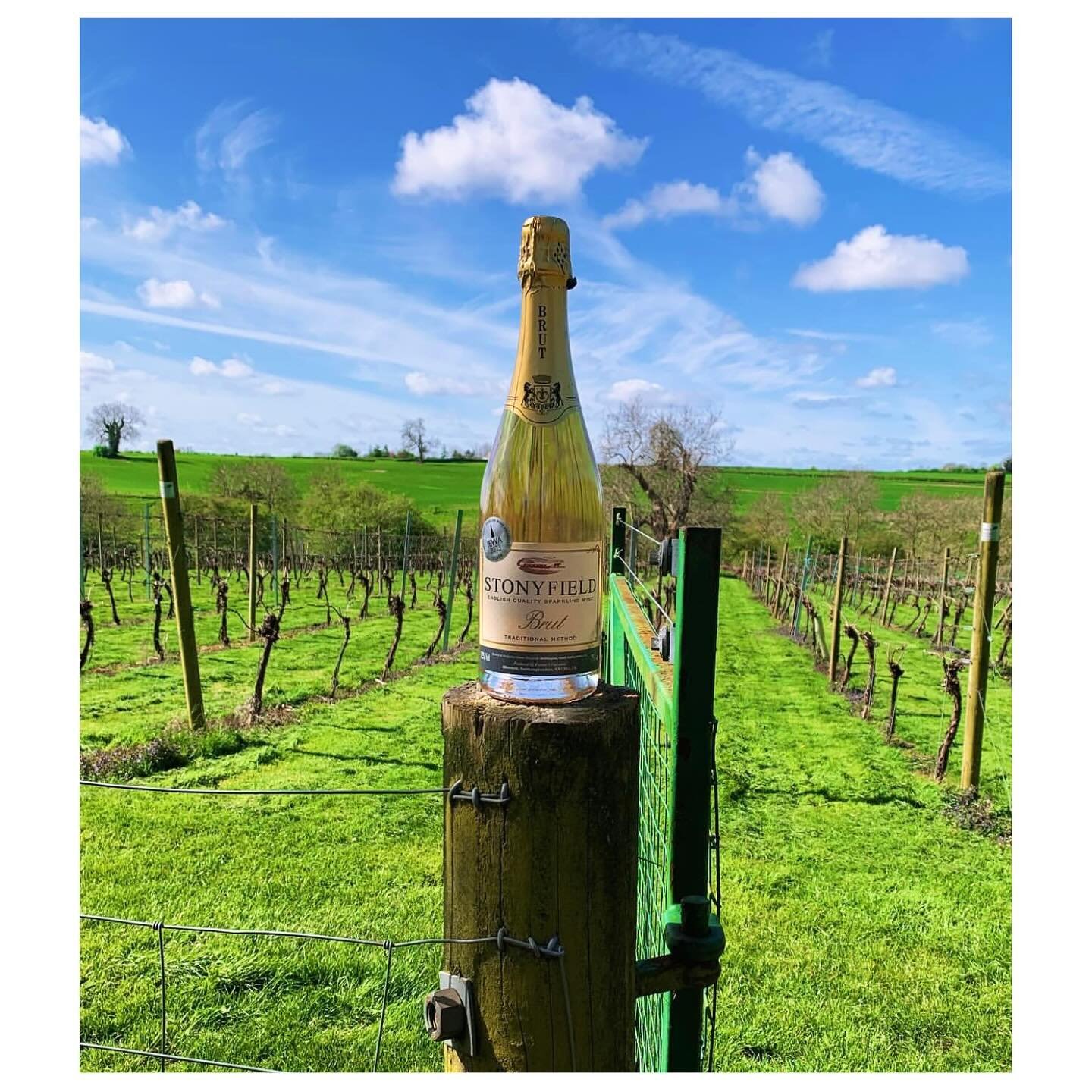 Blue sky thinking from our friends at @stonyfieldwine in Northamptonshire. Just look at those colours! 🔵🥂🟢

Their caption? &ldquo;The sun is out, summer is on the way, and we are here. Open till 3 o&rsquo;clock.&rdquo; 

Not heard of them until no