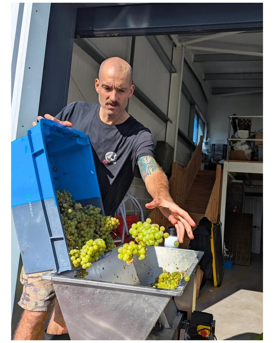 These geese! Frome&rsquo;s premier winery and Bacchus innovators @saddlegoosewine, with a few words on the glory of the Bacchus variety 🪿

&ldquo;Ever heard of Bacchus? Not just the Roman god of wine, it&rsquo;s also one of the most planted grapes i