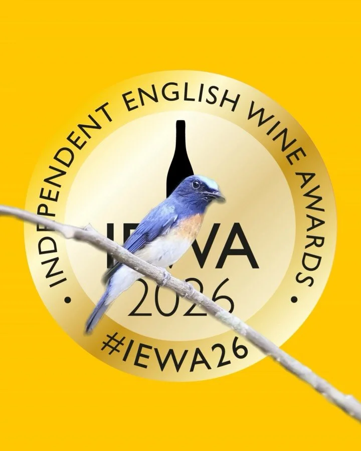 The IEWA26 Early Bird is ruffling its wings&hellip; 🐦 

Our Early Bird discount disappears at the end of the month, which is this Saturday at midnight.

If you&rsquo;re an English wine producer planning to get in on a 10% saving on entry fees, now&r