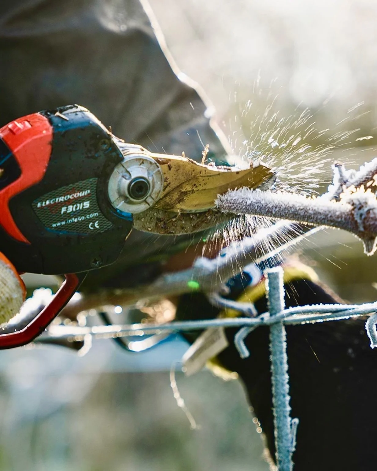 Really enjoying this pruning shot from our friends at Norfolk&rsquo;s @flintvineyard. Subject an intriguing mix of natural, and industrial, hard and yet delicate, with an incredible amount of tension and energy for a still capture 👌✂️ 

#FlintVineya