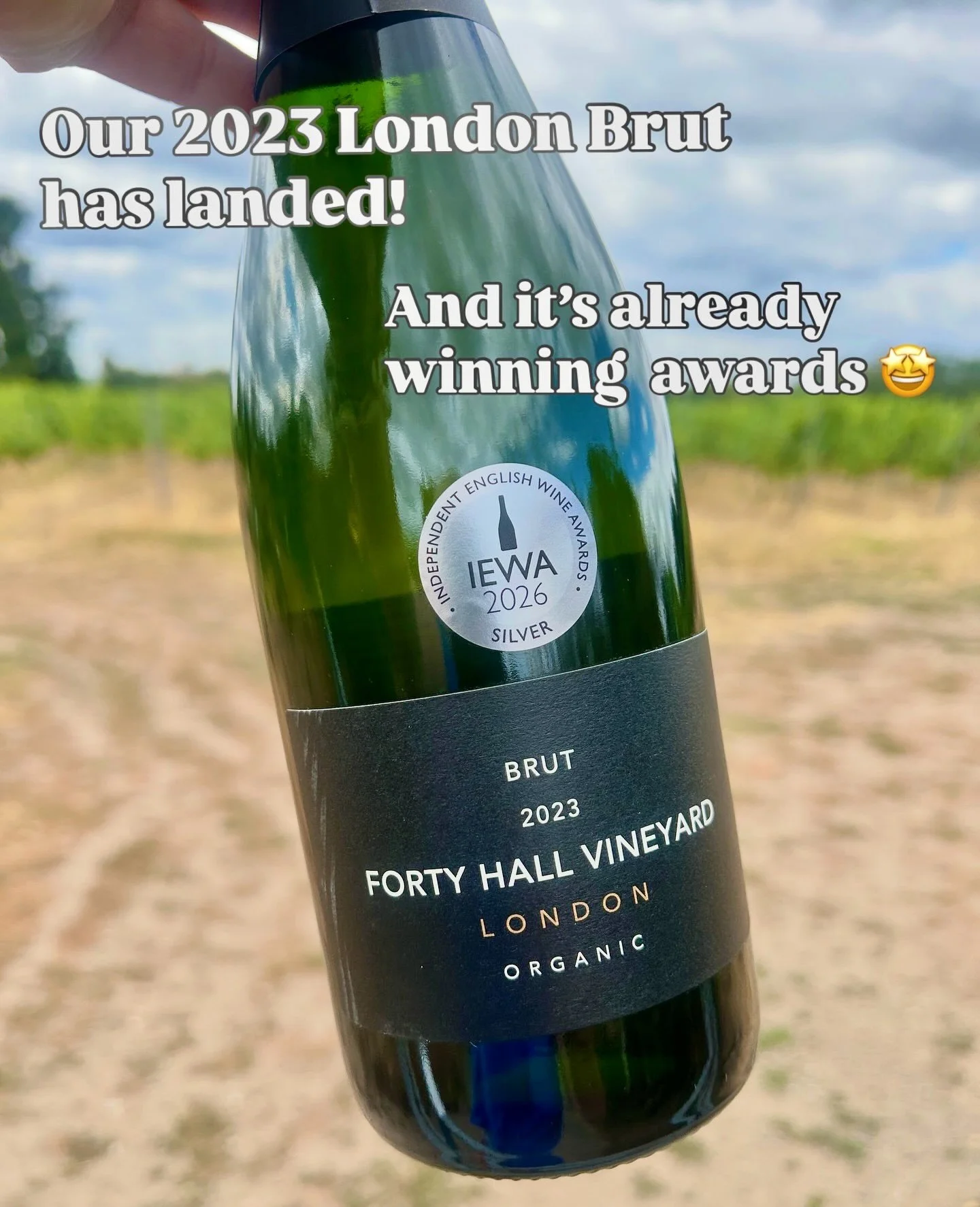 Shout out and huge congrats to @fhvlondon on the release of their new London Brut 2023, which picked up a shiny Silver medal at #IEWA26 🔥🥂

A fantastic result for this young sparkling wine (which will get even better with time in the bottle) and a 