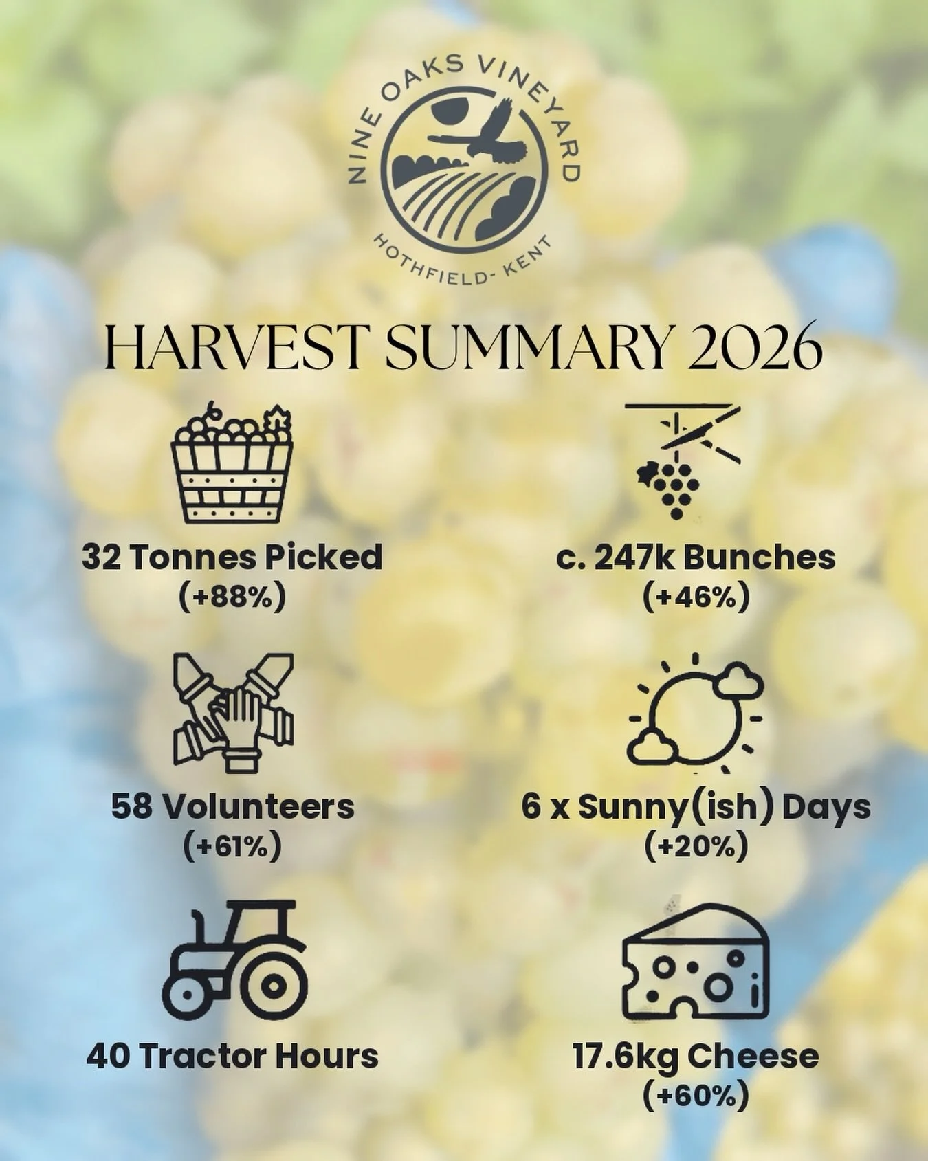 Loving these harvest stats and visuals from our friends at @nineoaksvineyard in Kent 🙌

Here&rsquo;s their break-down of #Harvest2026:

&ldquo;Record heat, our earliest harvest and our biggest yield by far. In a normal year, starting harvest by 27th