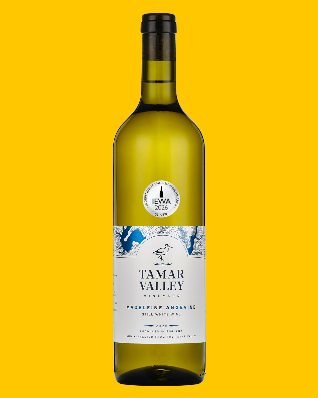 Tamar Valley Madeleine Angevine 2025