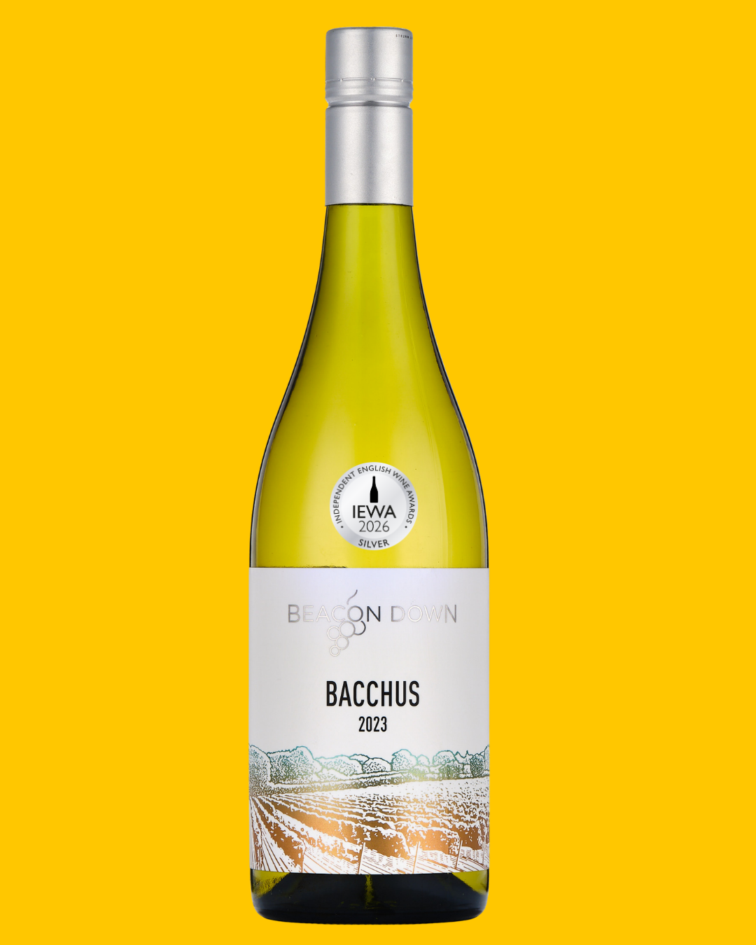 Beacon Down Bacchus 2023