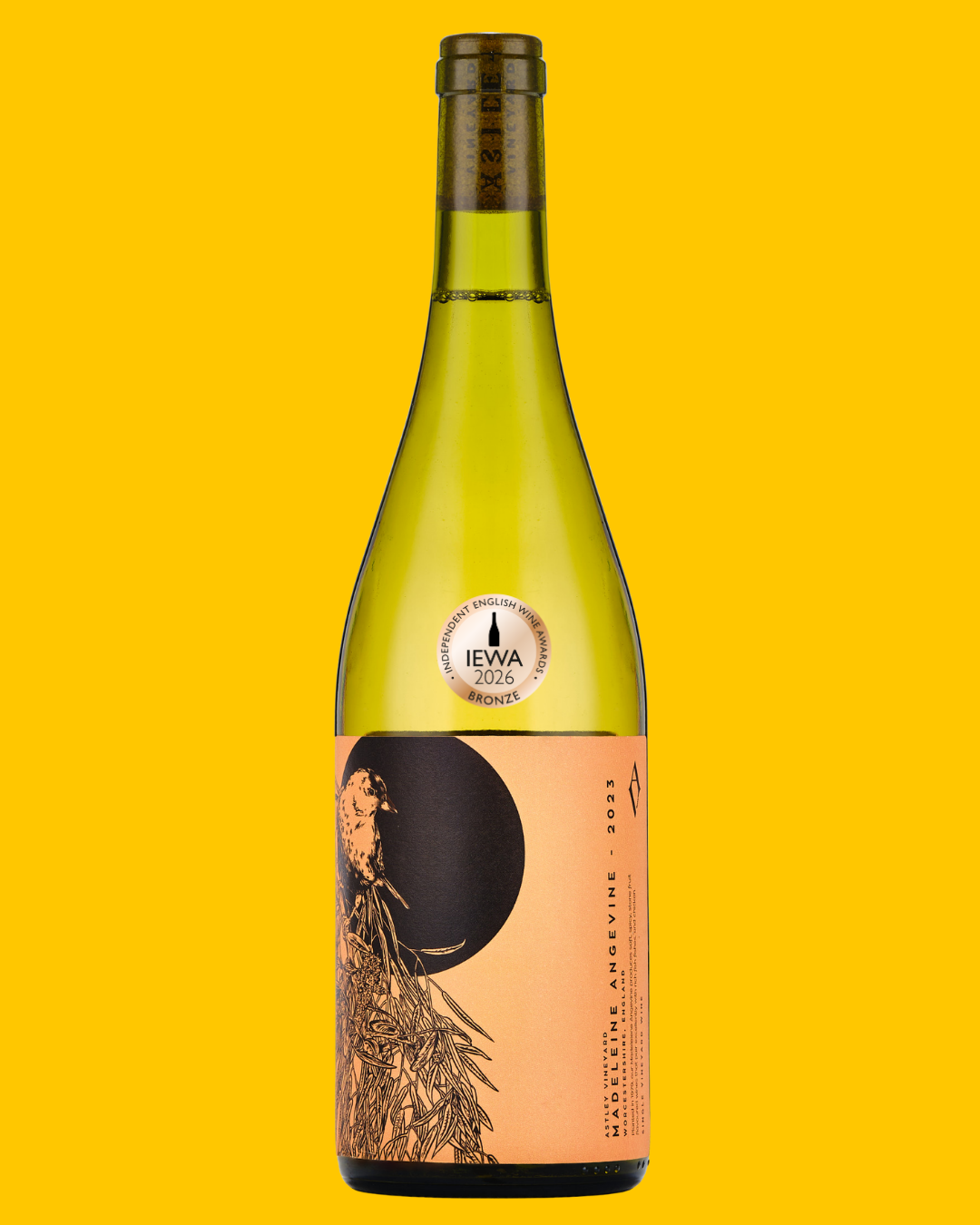 Astley Madeleine Angevine 2023