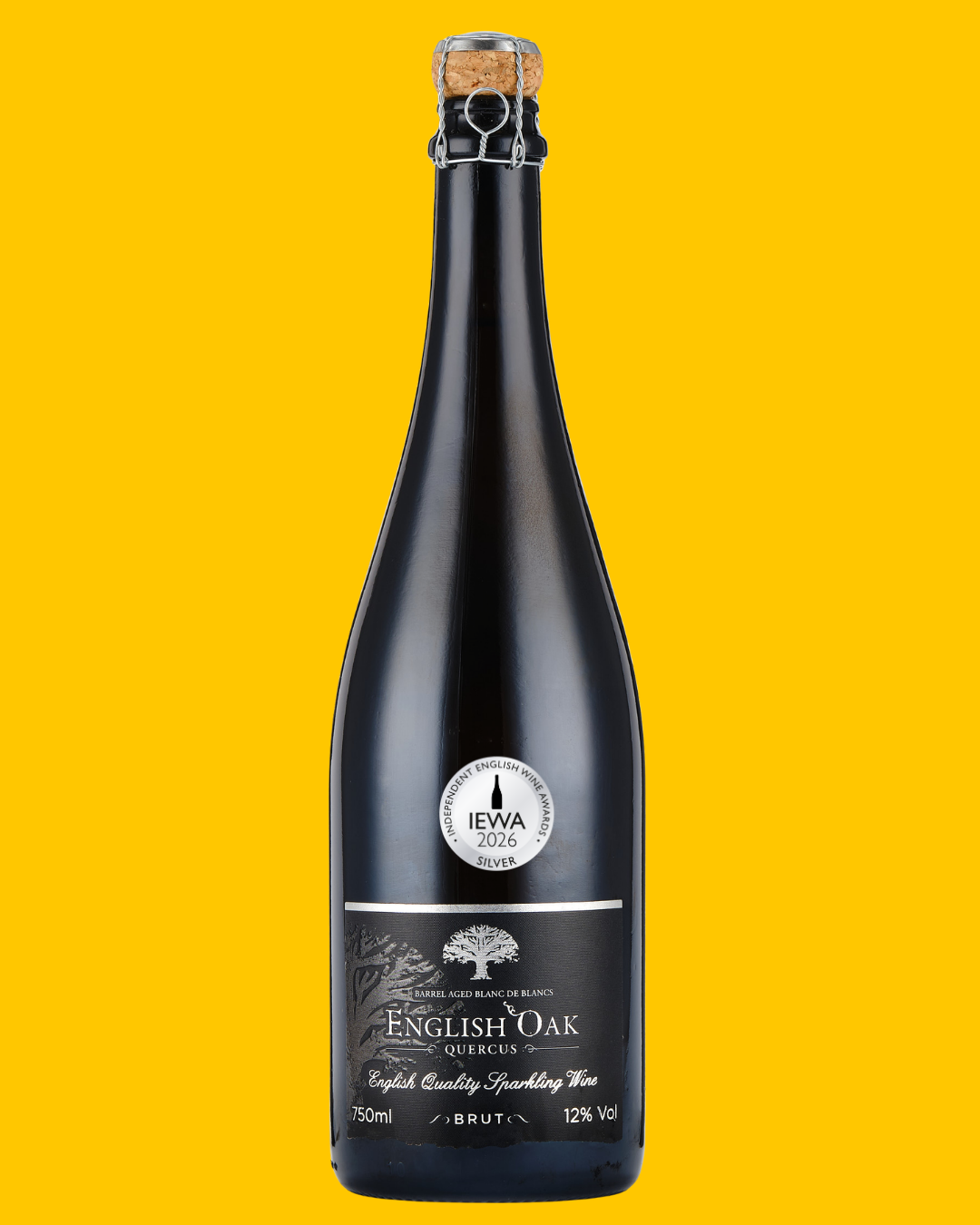 English Oak Vineyard Quercus 2020
