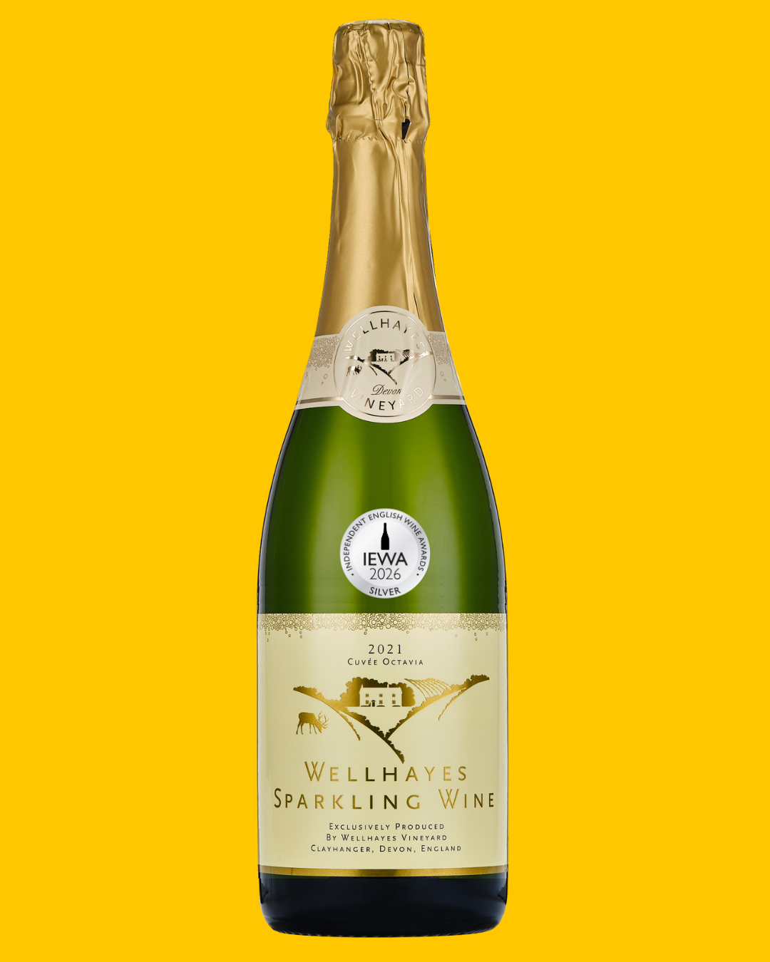Wellhayes Vineyard Sparkling 2021