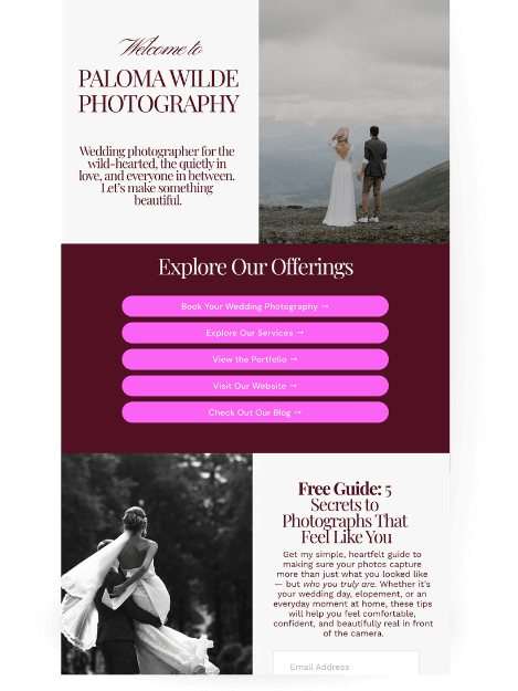 Instagram links page with a heading "Explore Our Offerings" contains a series of buttons for services, portfolio, and blog. The bottom section offers a "Free Guide" with a form for an email address.