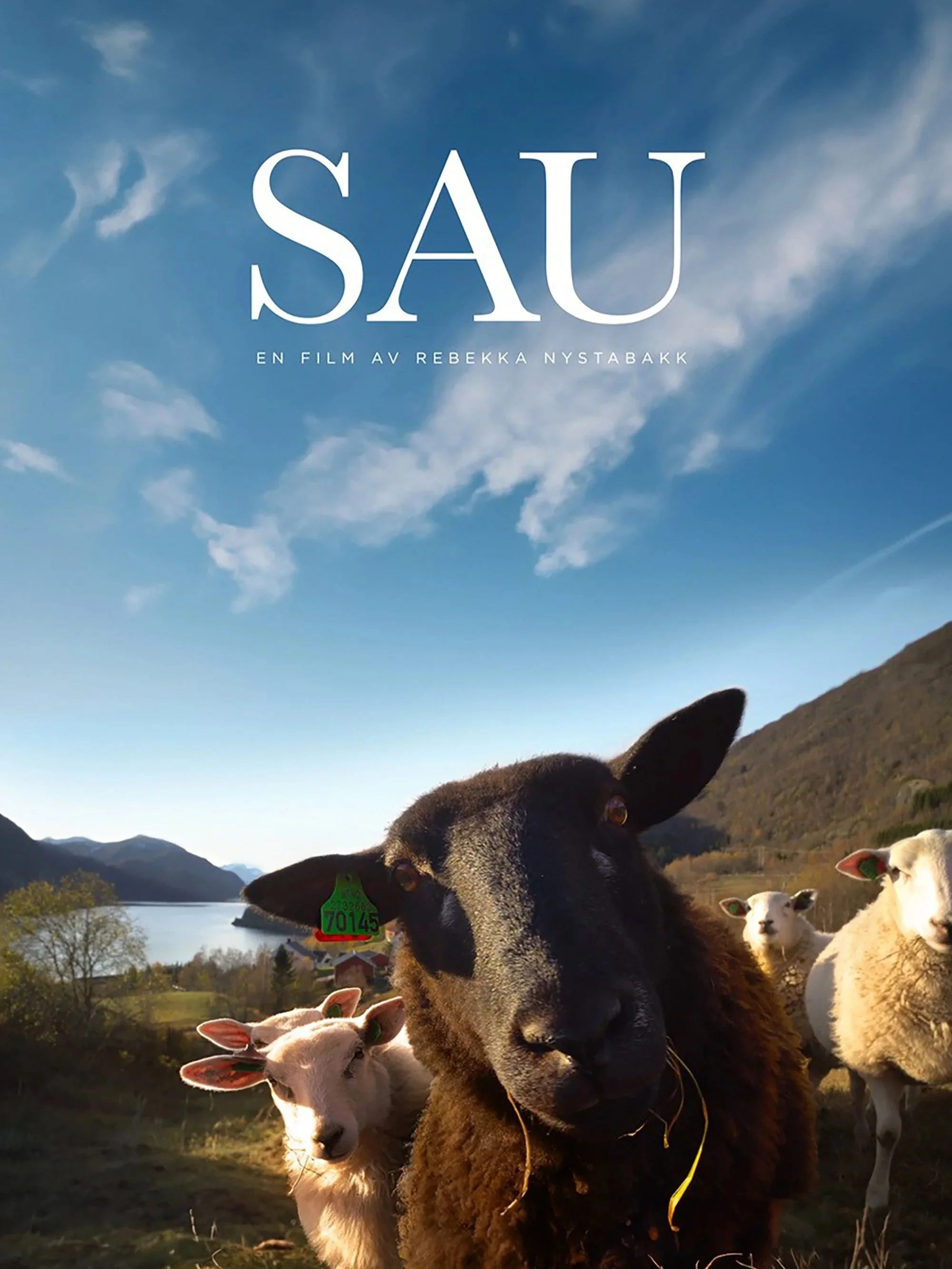 Filmplakat for filmen "Sau". På filmen ser man en svart sau som står med ansiktet mot kamera, i bakgrunnen ser man flere hvite sauer som står bak den. Sauen har en grønn tagg i øret. I bakgrunnen er det norsk natur og blå himmel. Tittelen er midt på 