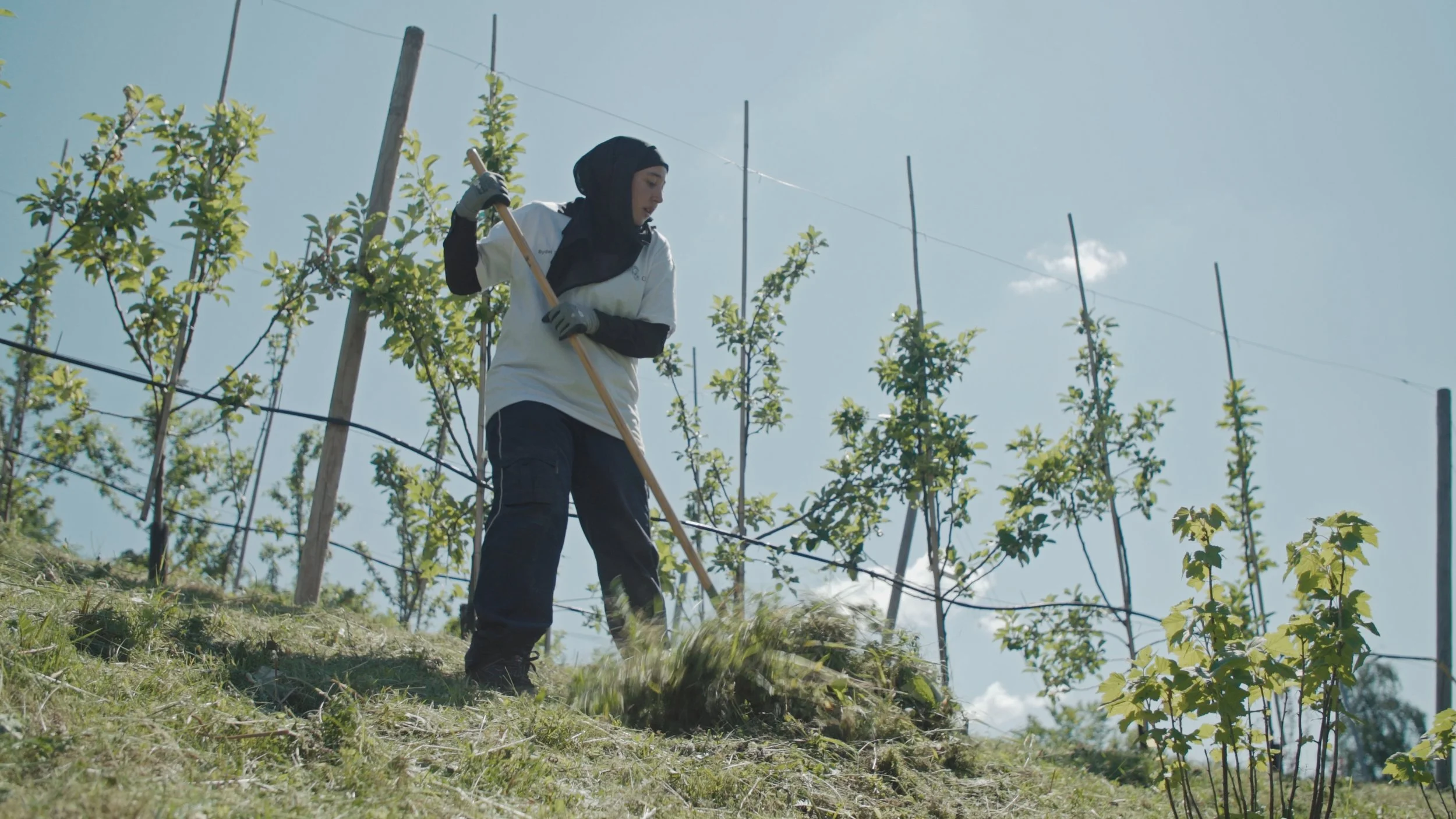 Stills bilde fra filmen "Dette er ikke et eple". På bildet er det en kvinne med hijab og har på en Lif Laga t-skjorte. Kvinnen raker i gresset. Bak kvinnen er det et høyt gjerde med ulike epletrær som plantes.