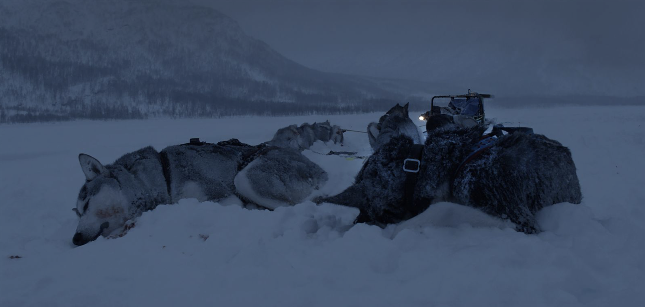 Screenshot 2026-03-04 at 13.50.30.png