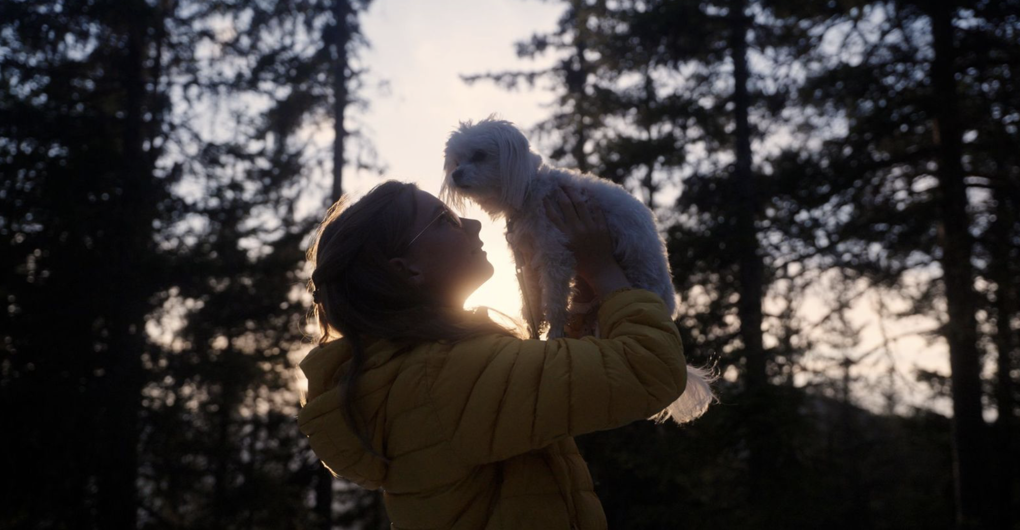 Screenshot 2026-03-04 at 13.56.26.png