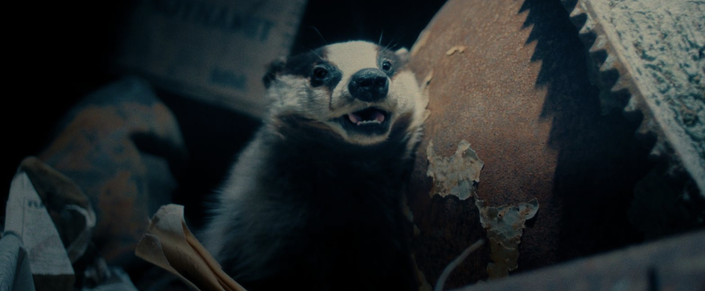 Screenshot 2026-03-04 at 15.57.56.png