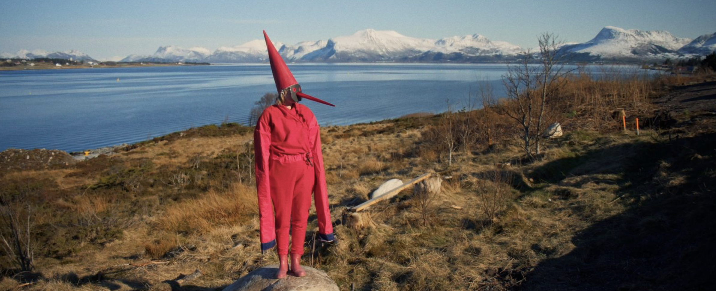 Screenshot 2026-03-04 at 13.36.15.png