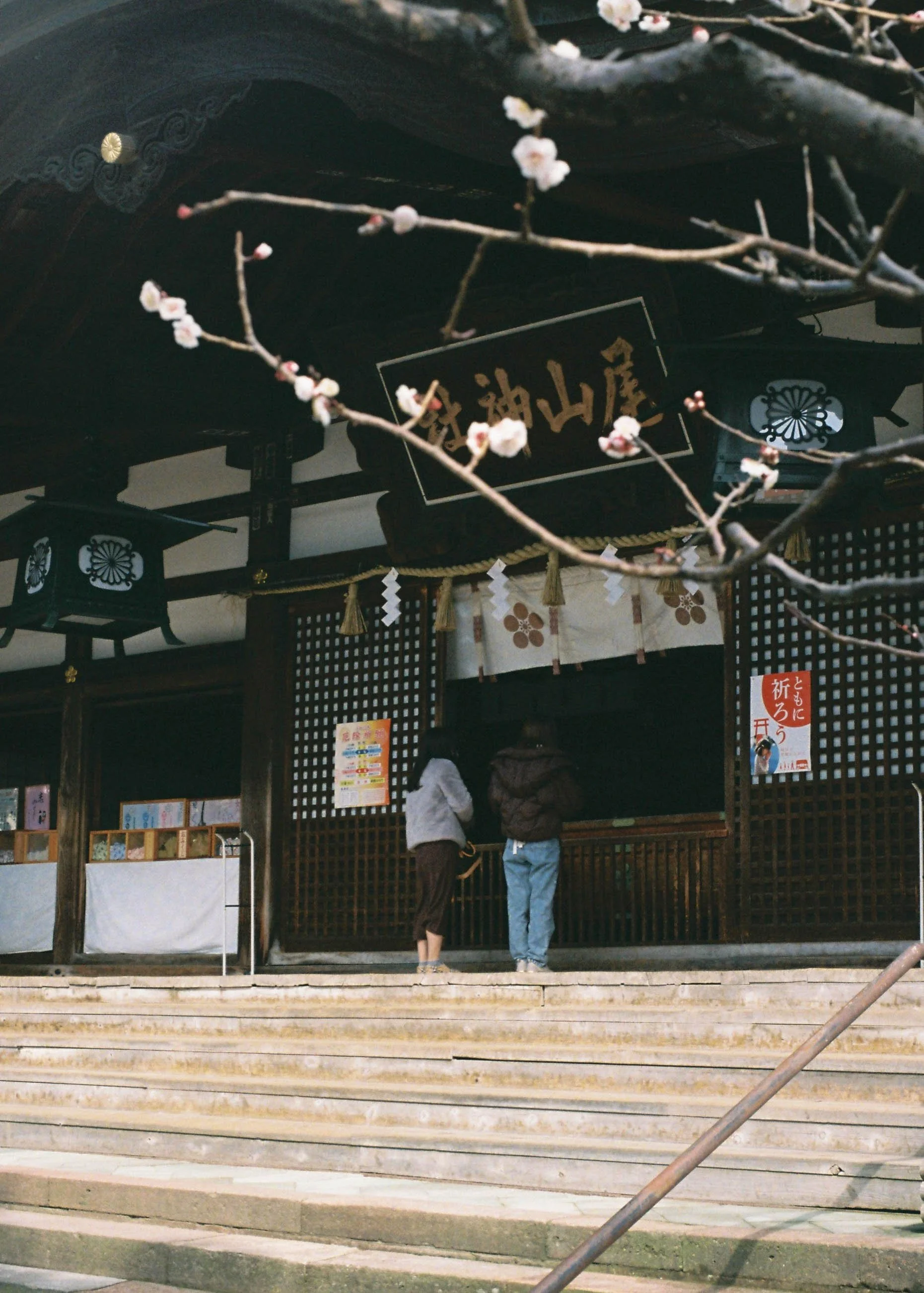 000012-3.jpg