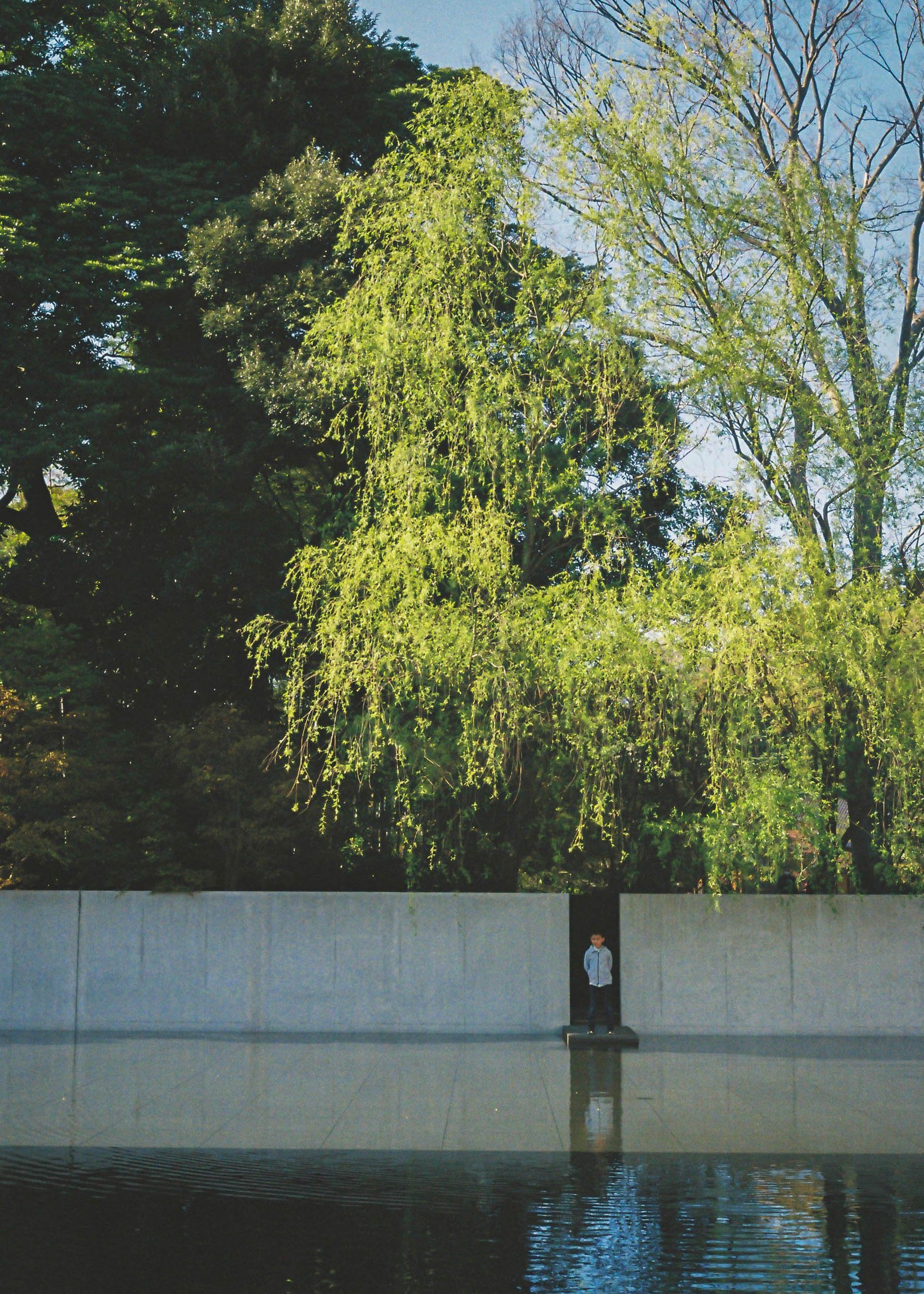 000011-2.jpg
