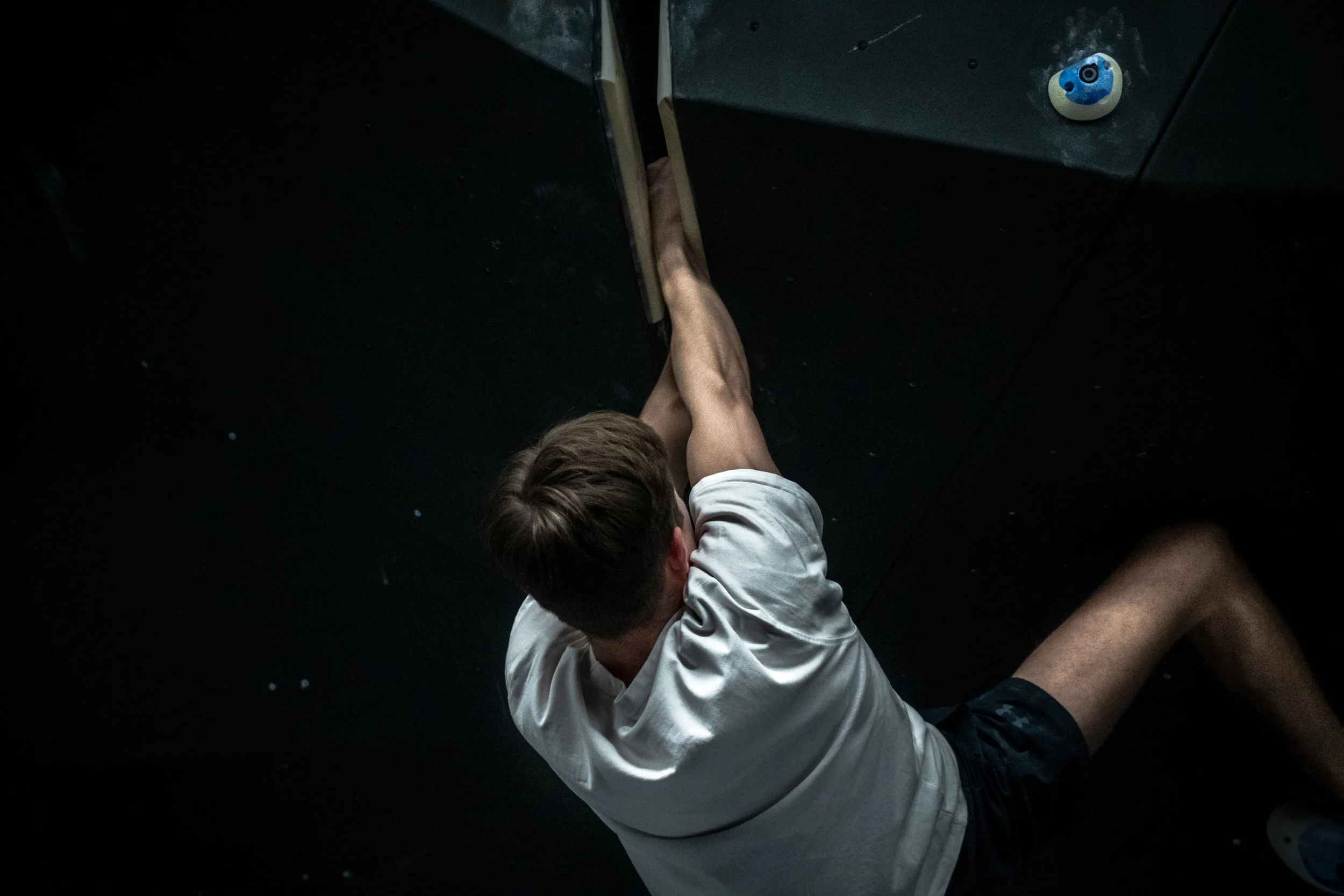 Die Taube Draft 2-40.JPG