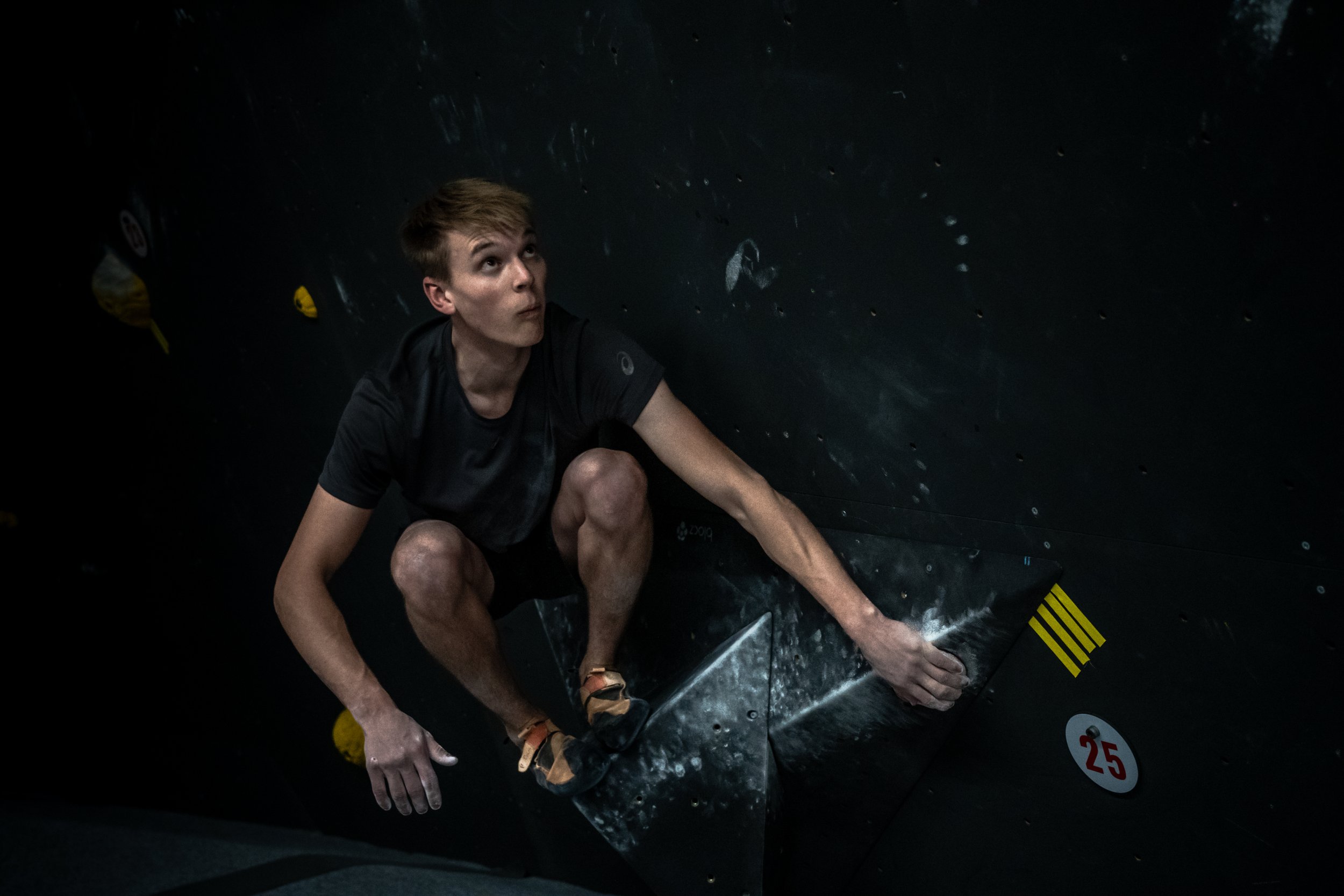 Die Taube Draft 2-121.JPG