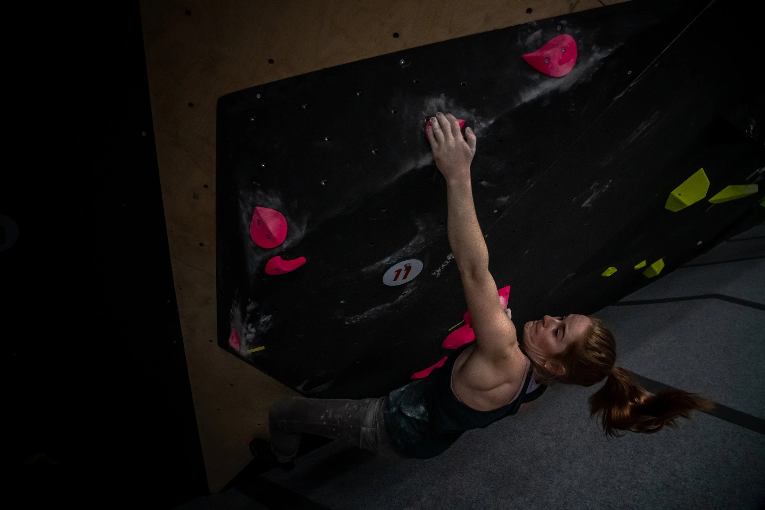 Die Taube Draft 2-65.JPG