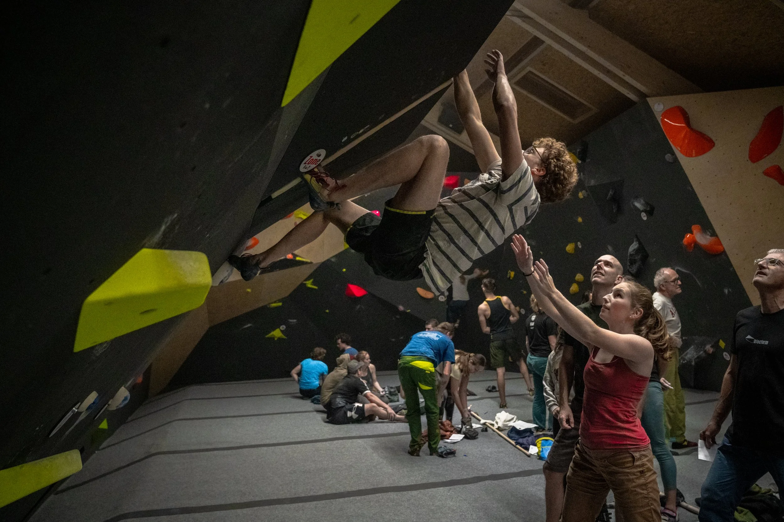 Die Taube Draft 2-29.JPG