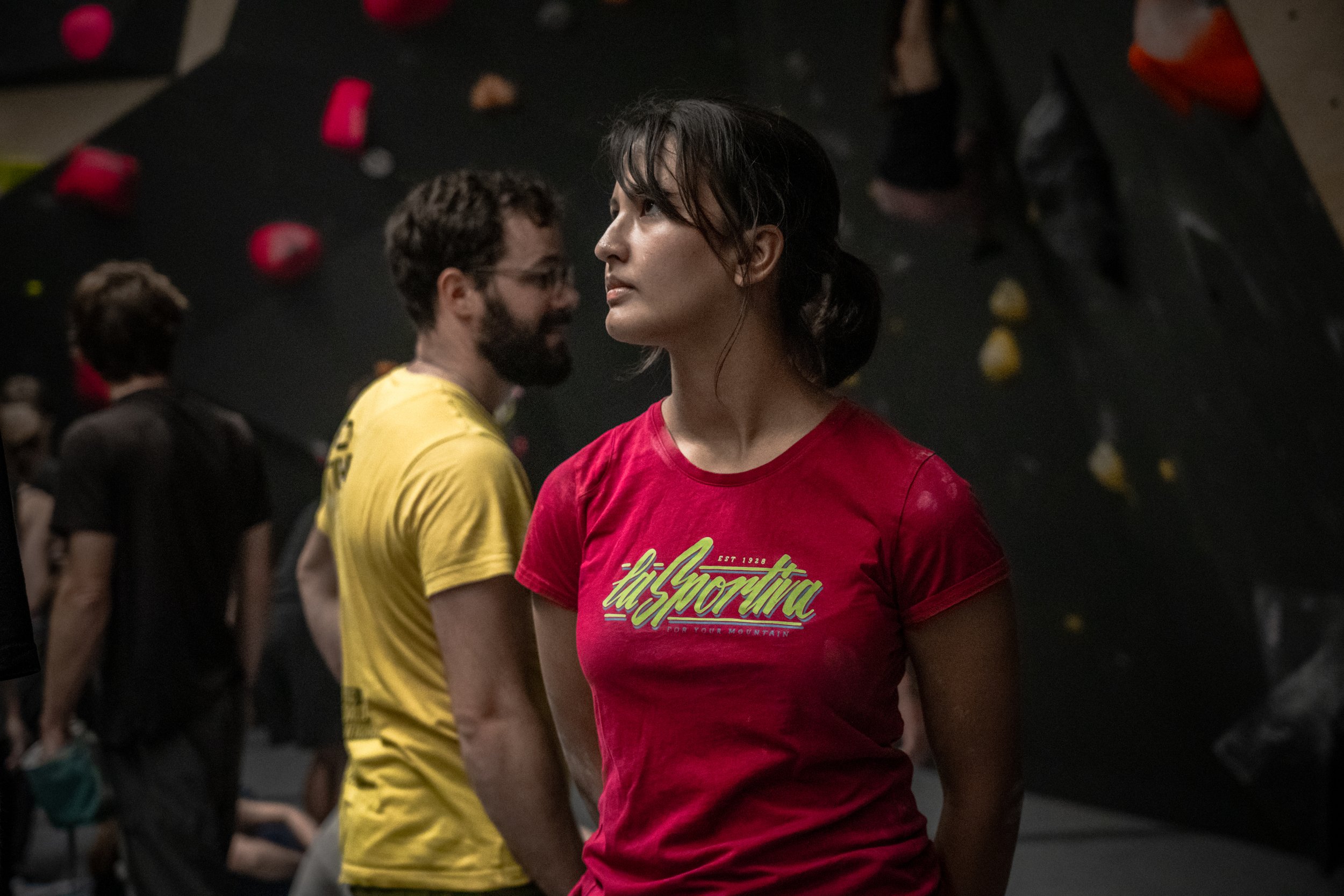 Die Taube Draft 2-85.JPG