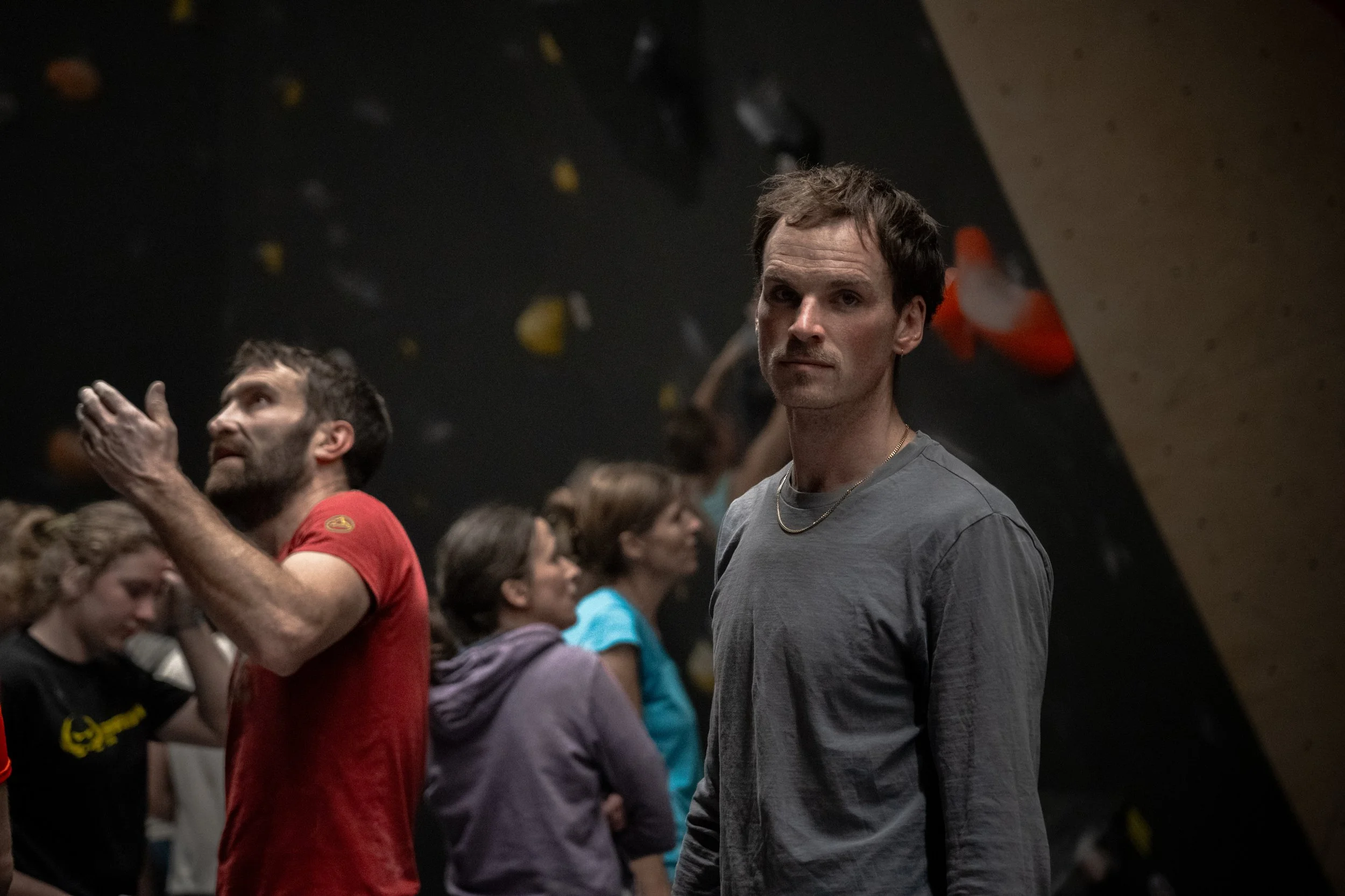 Die Taube Draft 2-97.JPG