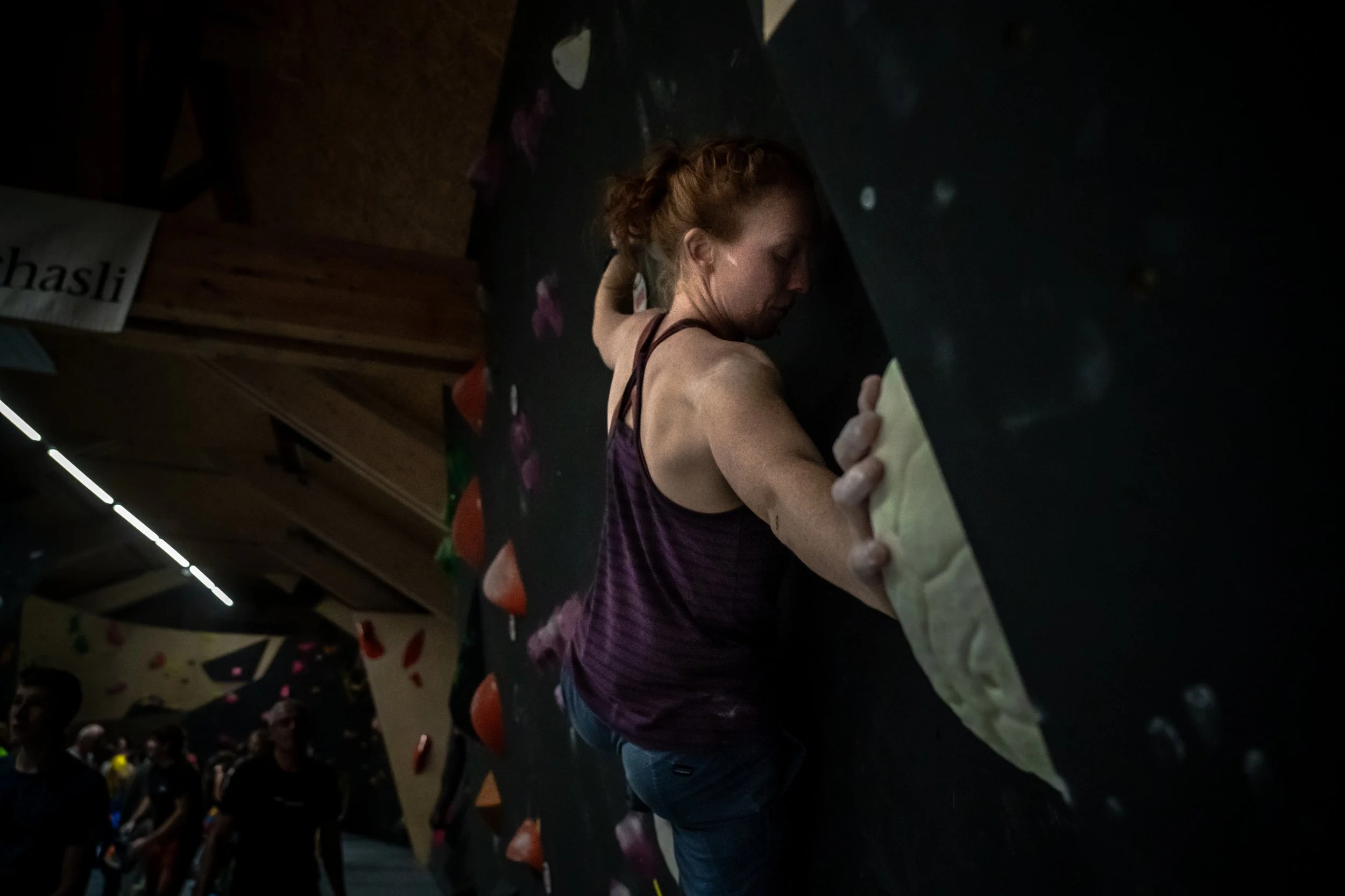 Die Taube Draft 2-106.JPG