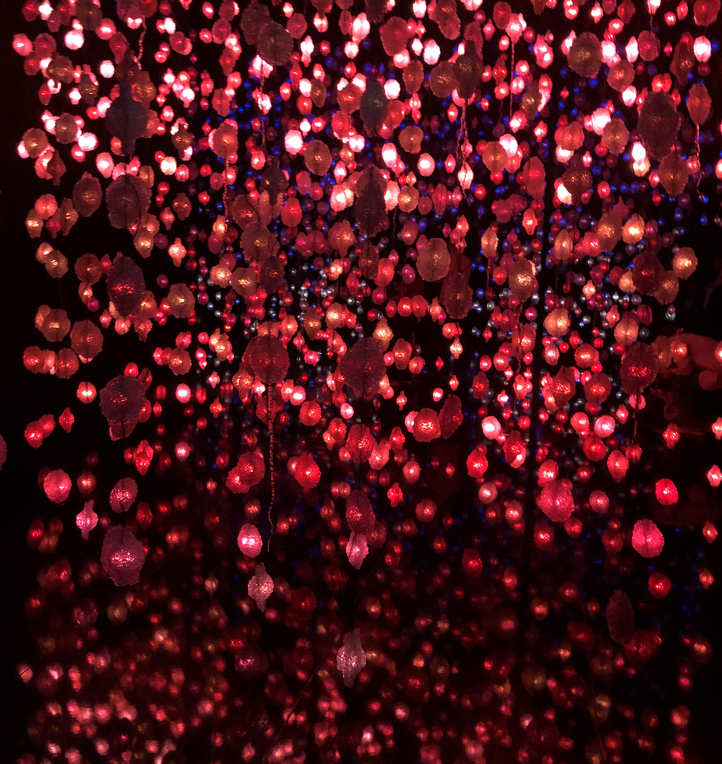 Ecstatic Dance in Zug