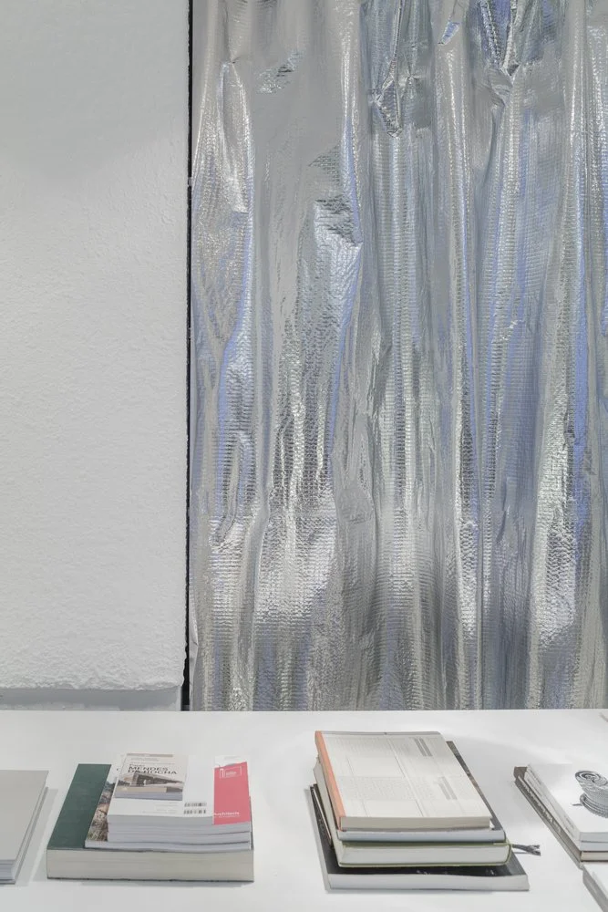 office-with-silvercurtain-buero-wagner_15.jpg