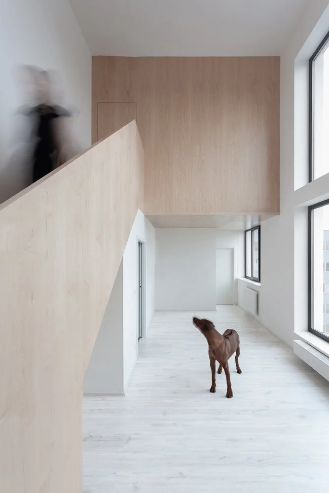 View of Urban Infill Lofts | The Radical Project