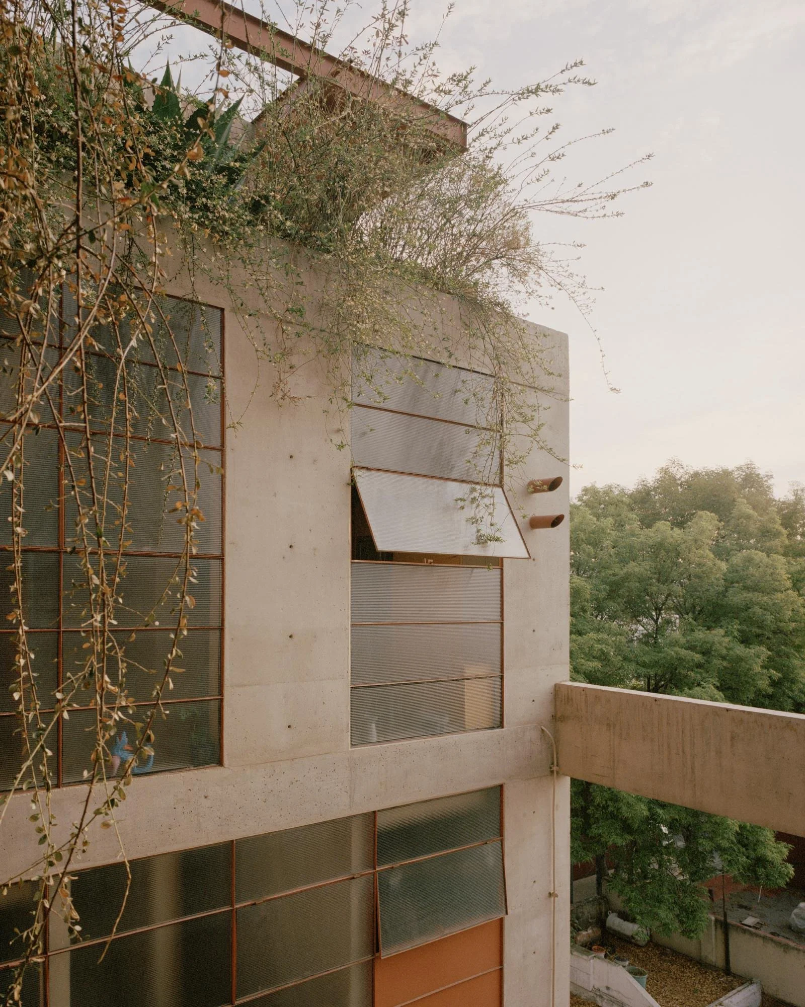 Antonio Maceo 8 | The Radical Project