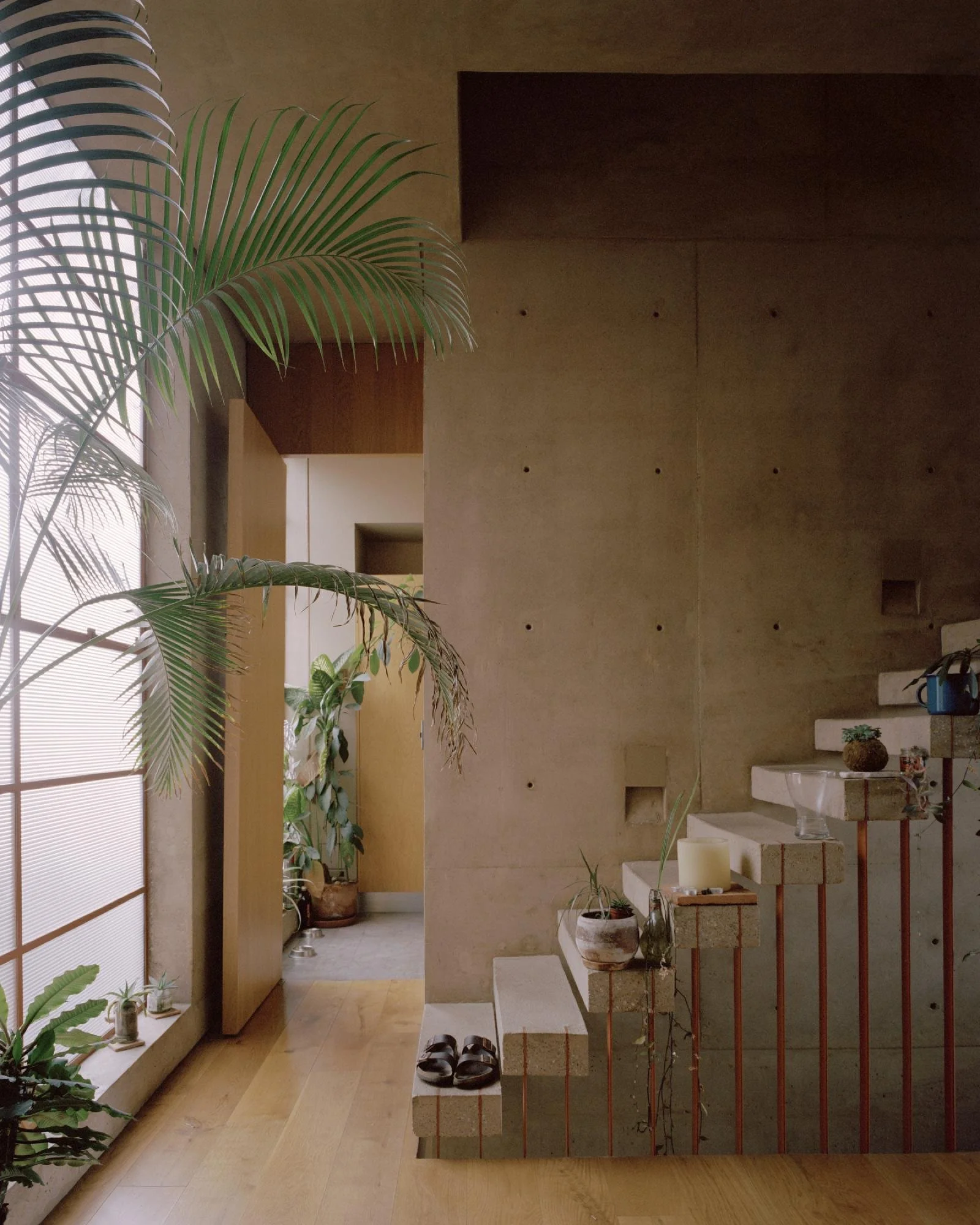 Antonio Maceo 8 | The Radical Project