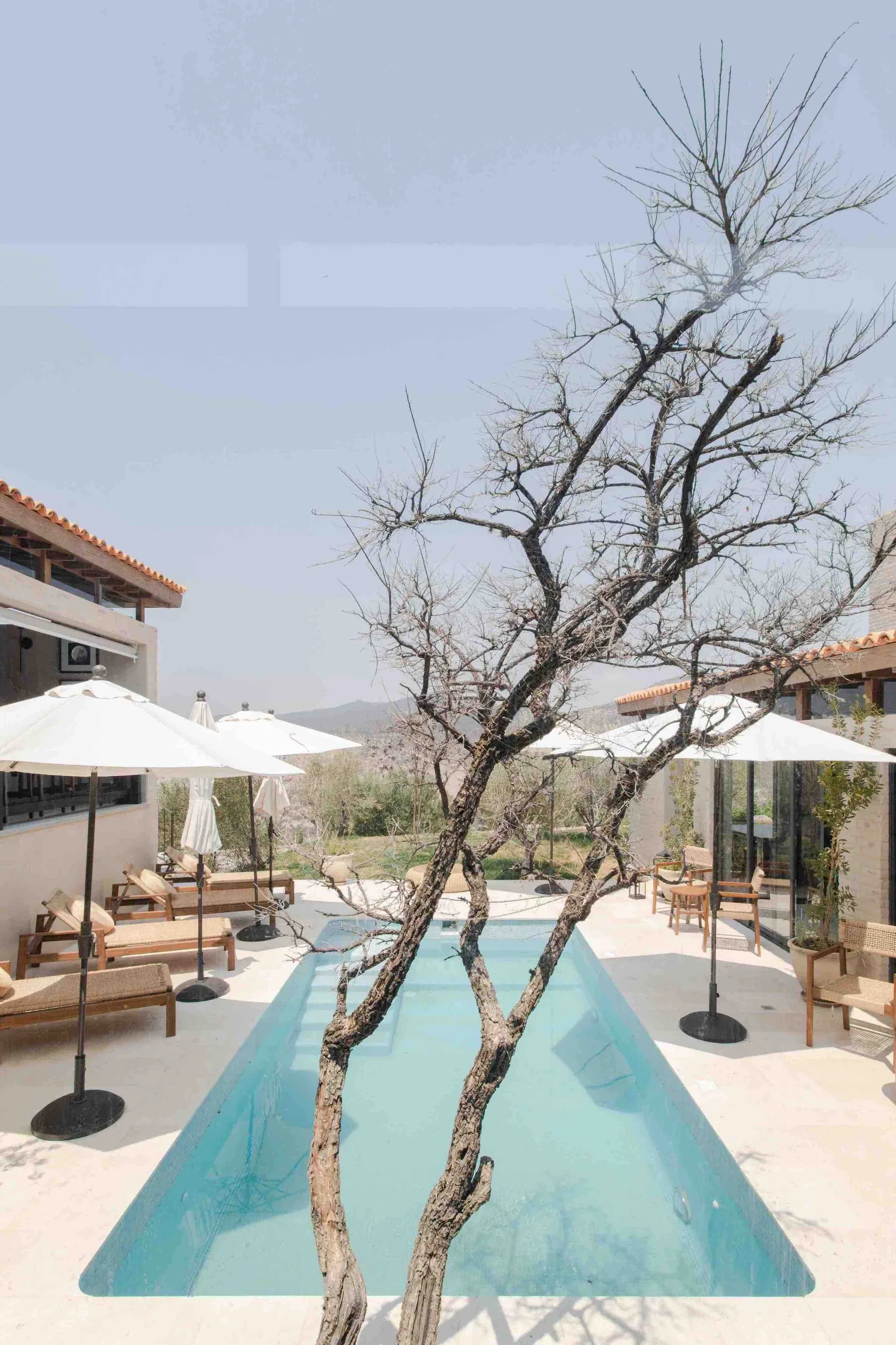 terrace 2.jpg