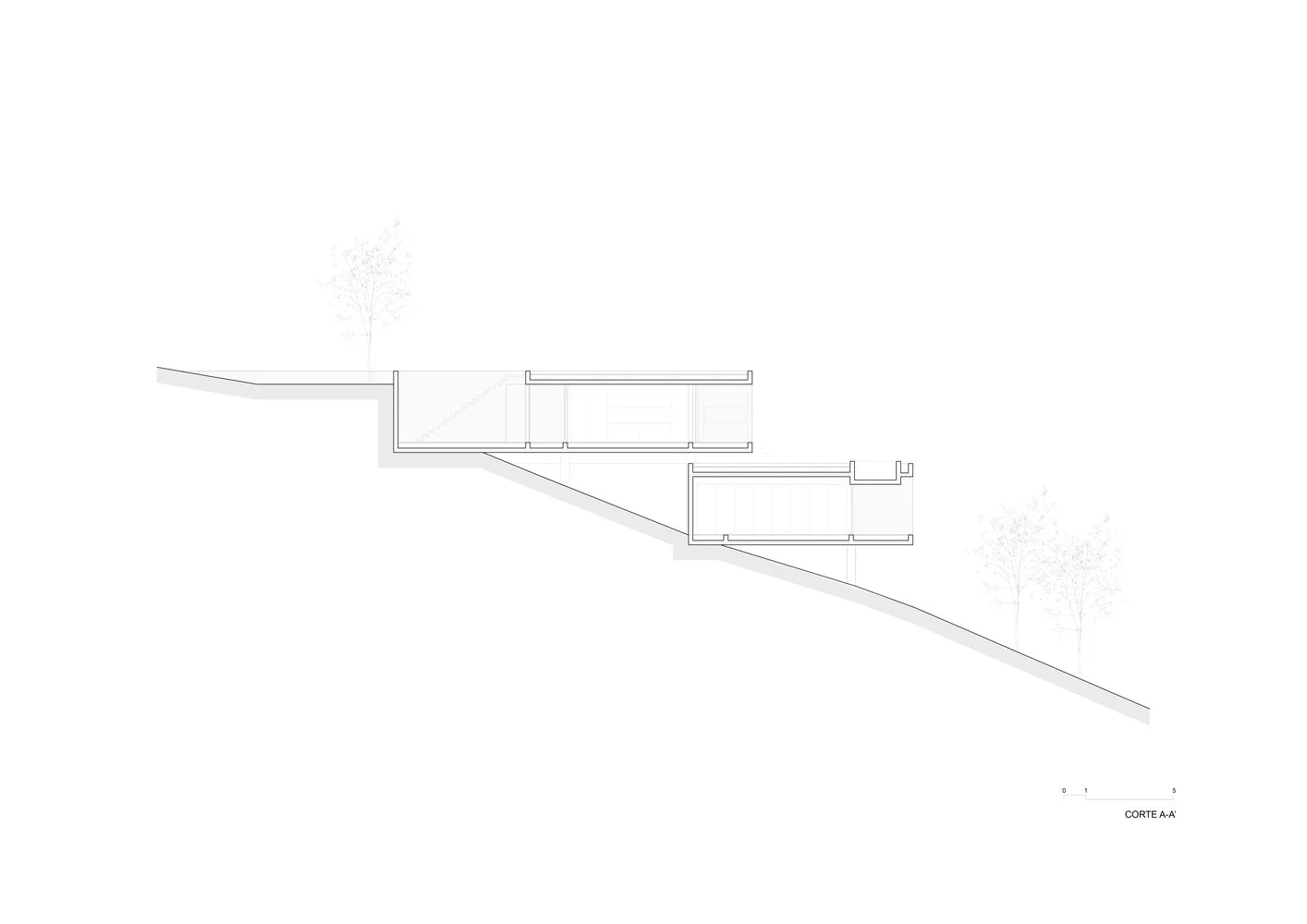mp-corteaa-2.jpg