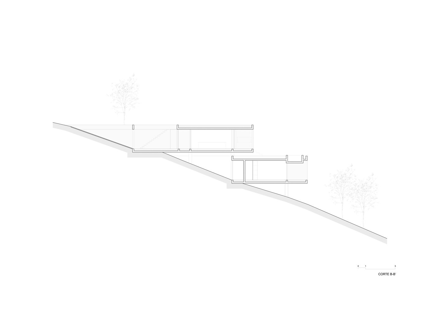 mp-cortebb-3.jpg