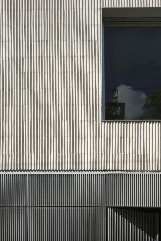 javier_agustin_rojas_smud_zelcer_niceto_IMG_6459_high_ok.jpg