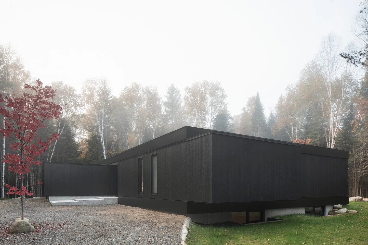 the-apple-tree-house-acdf-architecture_3.jpg
