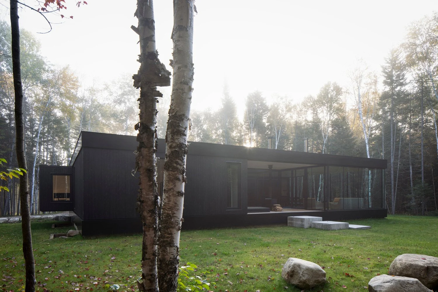 the-apple-tree-house-acdf-architecture_6.jpg