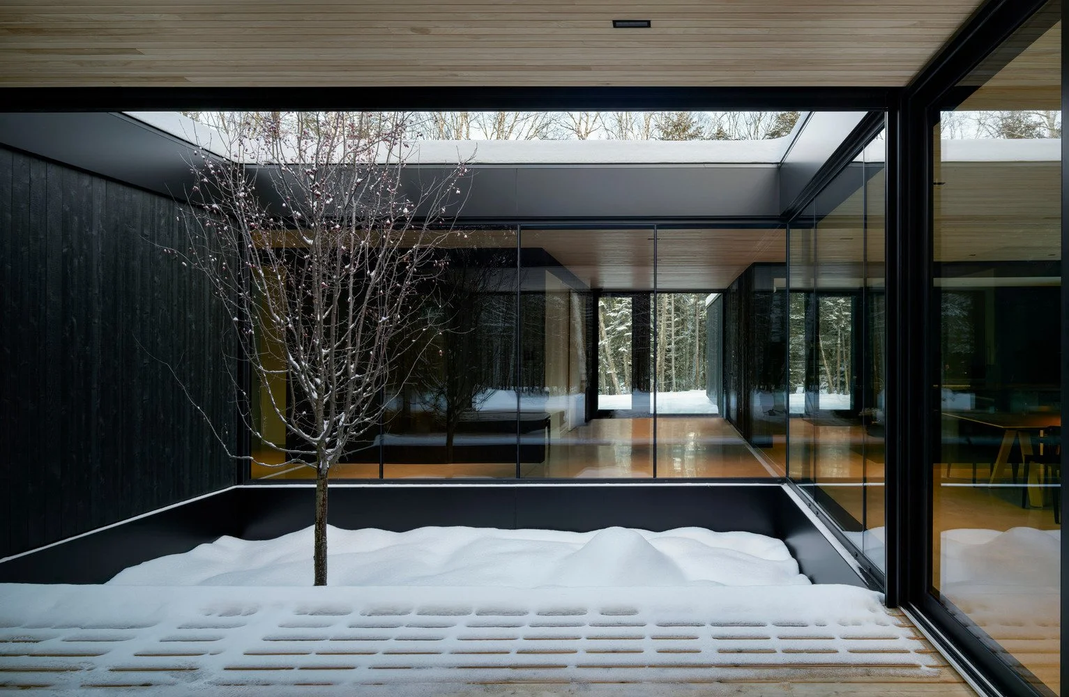 the-apple-tree-house-acdf-architecture_22.jpg