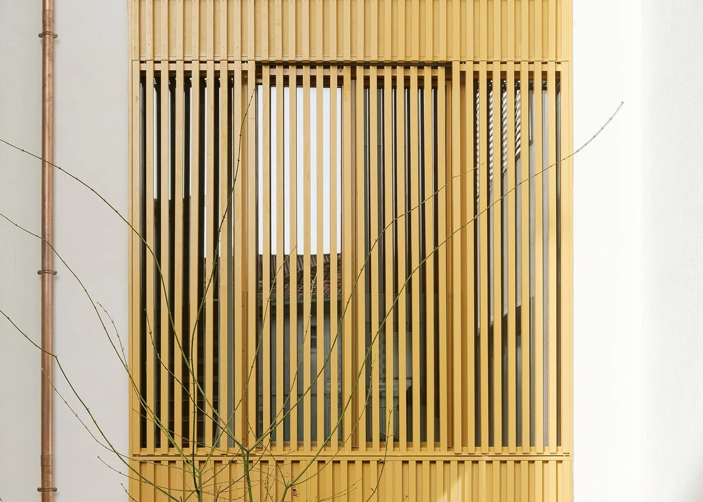 00_PORTADA_Vilar_3_by_Muller_Feijoo_photo_luisdiazdiaz.jpg